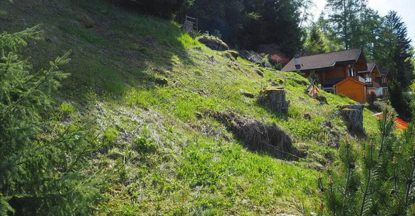 Buildable land, free of mandate next to the Bisse - Photo 10 of 14