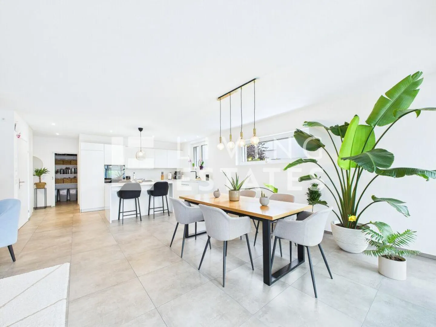 Rêve de Famille de Classe Supérieure - Photo 2 sur 16