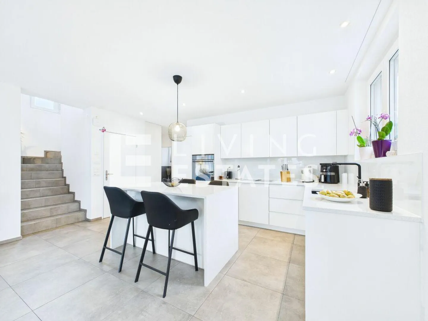 Rêve de Famille de Classe Supérieure - Photo 6 sur 16