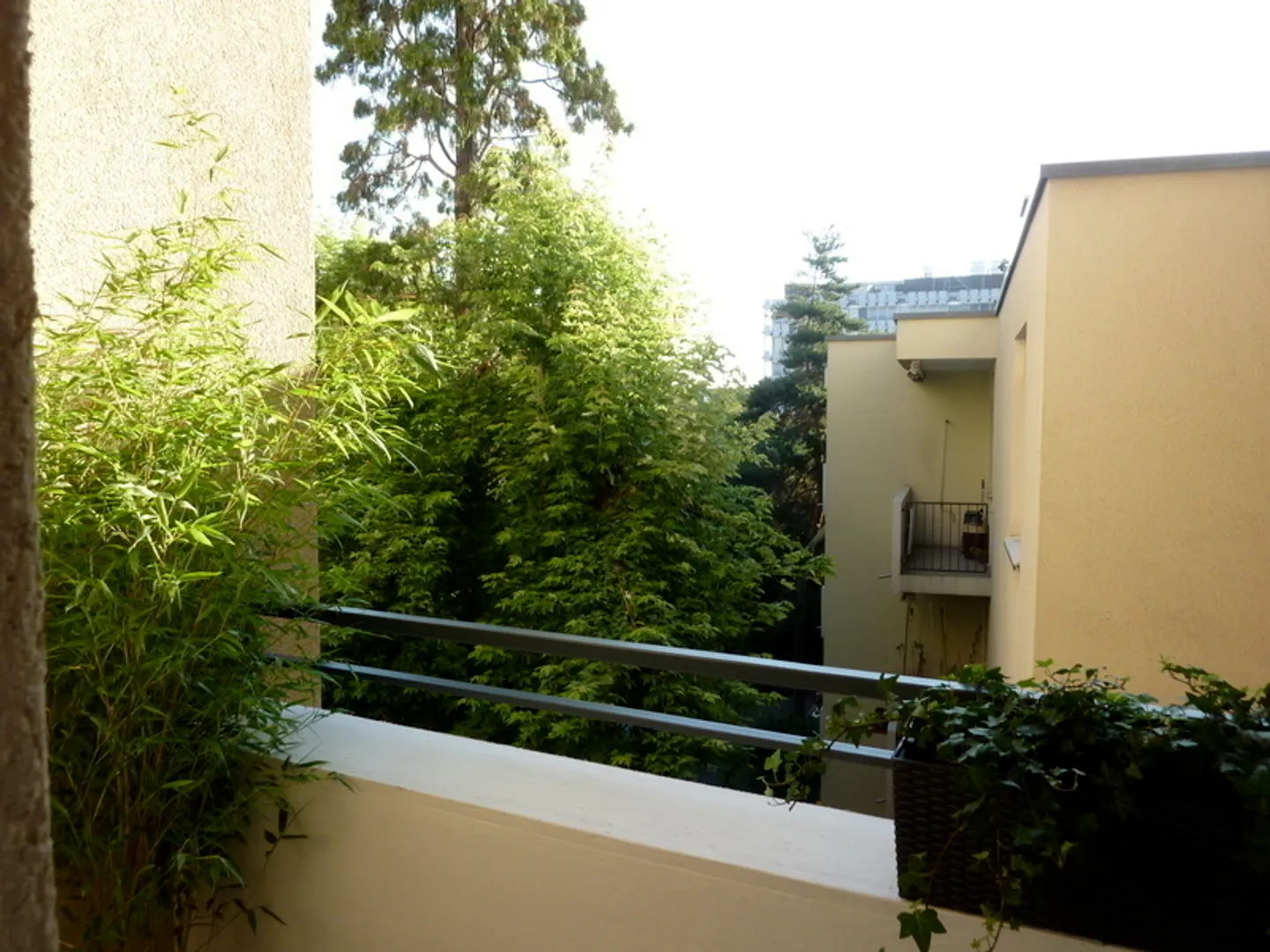 Bright Apartment in Central Location - Photo 11 of 11