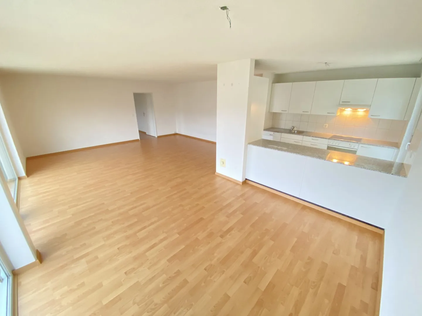 Appartement ensoleillé et calme avec tour de lavage privé - Photo 2 sur 11