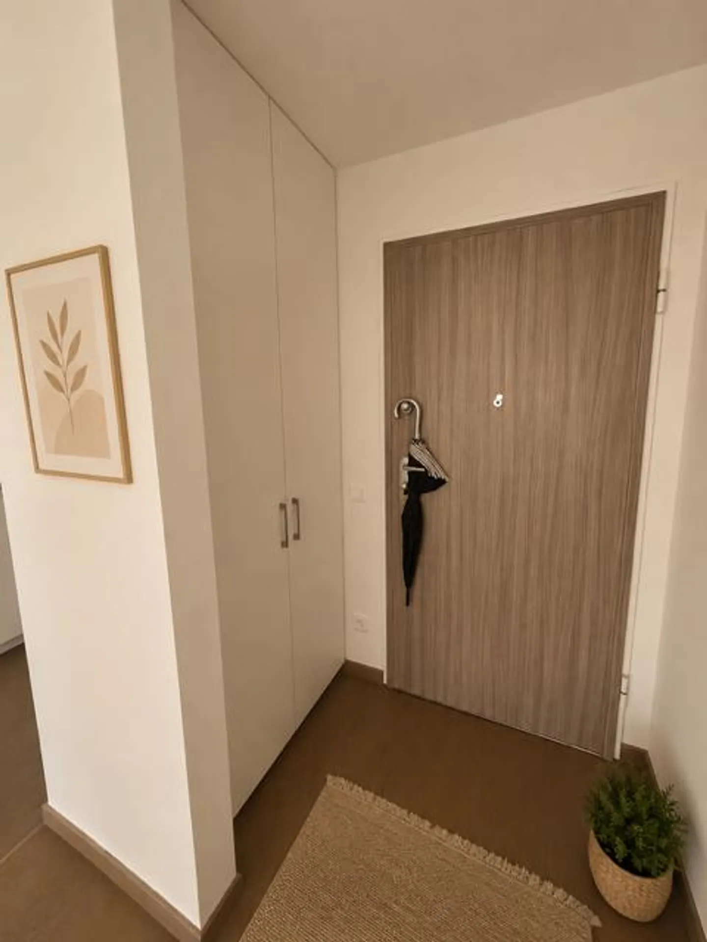 Elegante Wohnung in Massagno - Foto 3 von 6