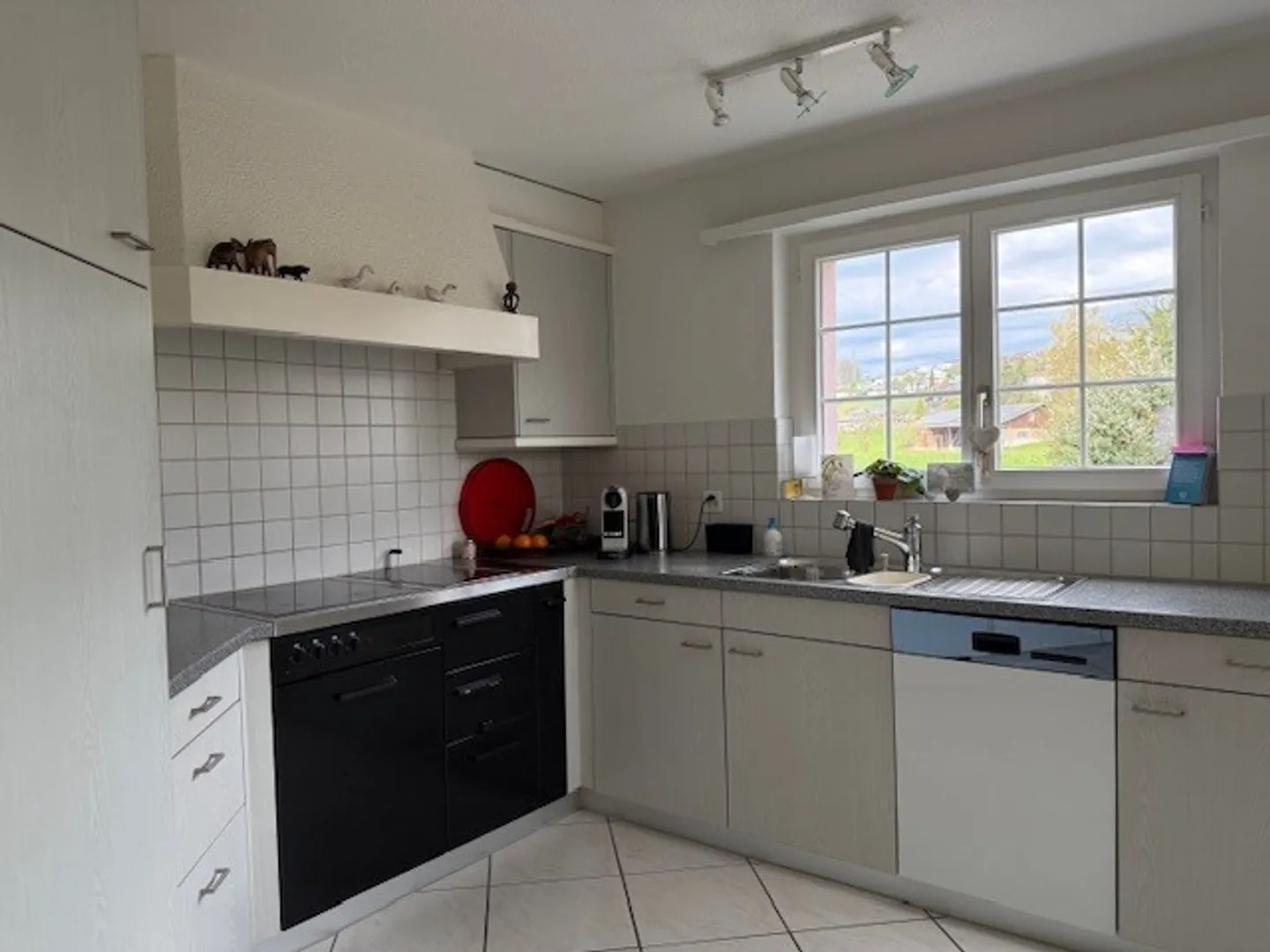 APPARTAMENTO 4½ LOCALI A ST. ERHARD (LU), ARREDATO, TEMPORANEO - Foto 3 di 8