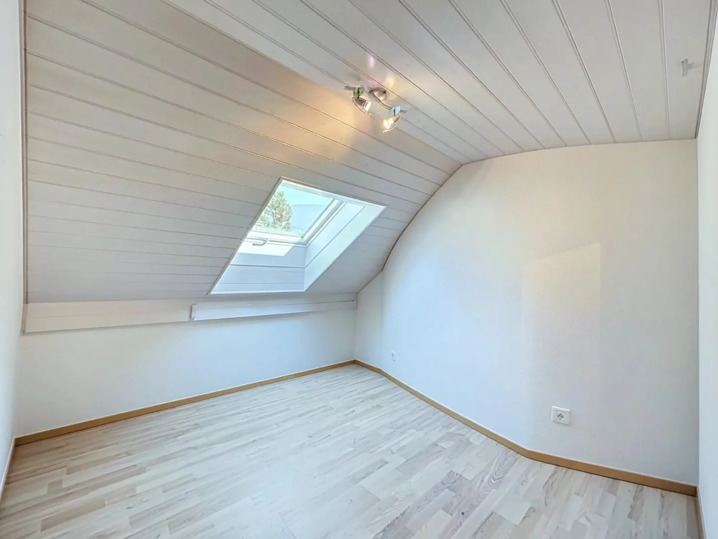 3.5 Room Apartment - Photo 7 of 9