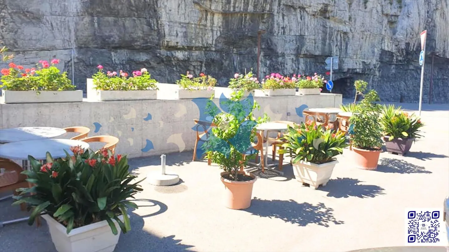 Bar 1 pièce - Photo 3 sur 3