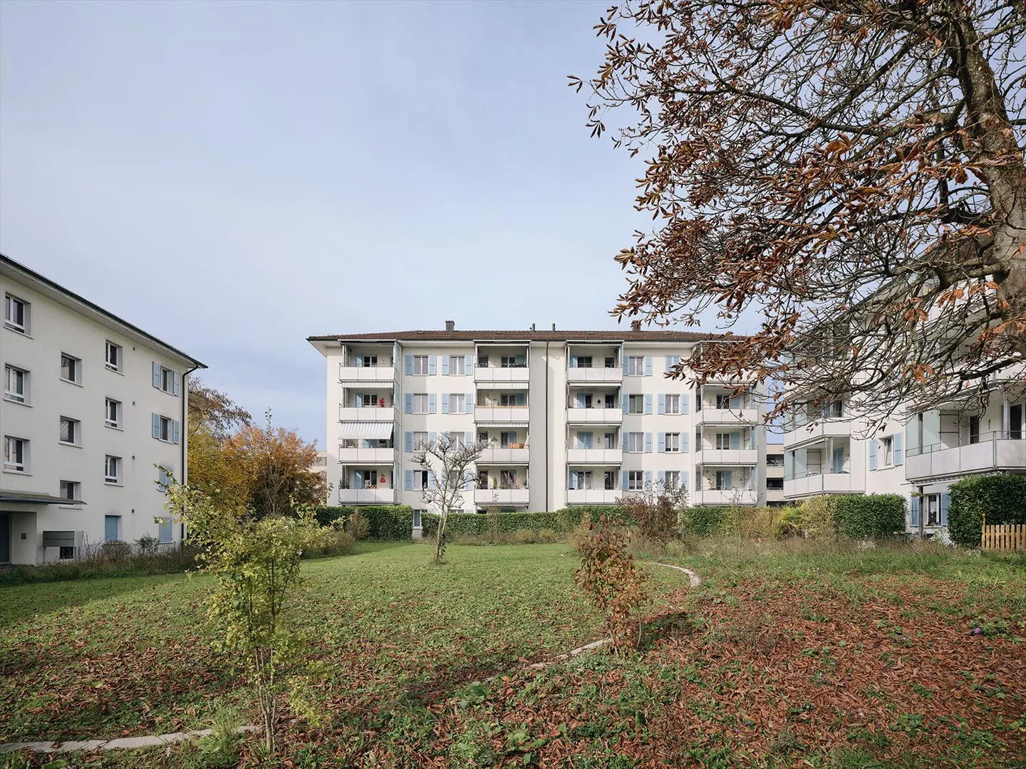 Cherché et trouvé! - Photo 2 sur 9