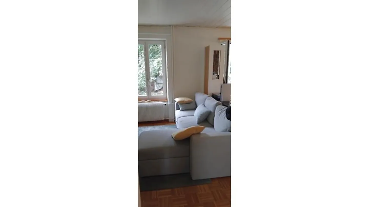 2-ROOM APARTMENT IN BIEL/BIENNE (BE), FURNISHED, FIXED TERM - Photo 2 of 5