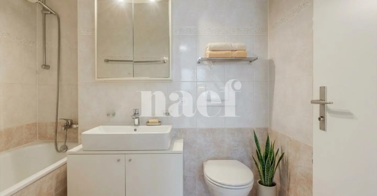 Appartement spacieux à Grand-Saconnex - Photo 11 sur 13