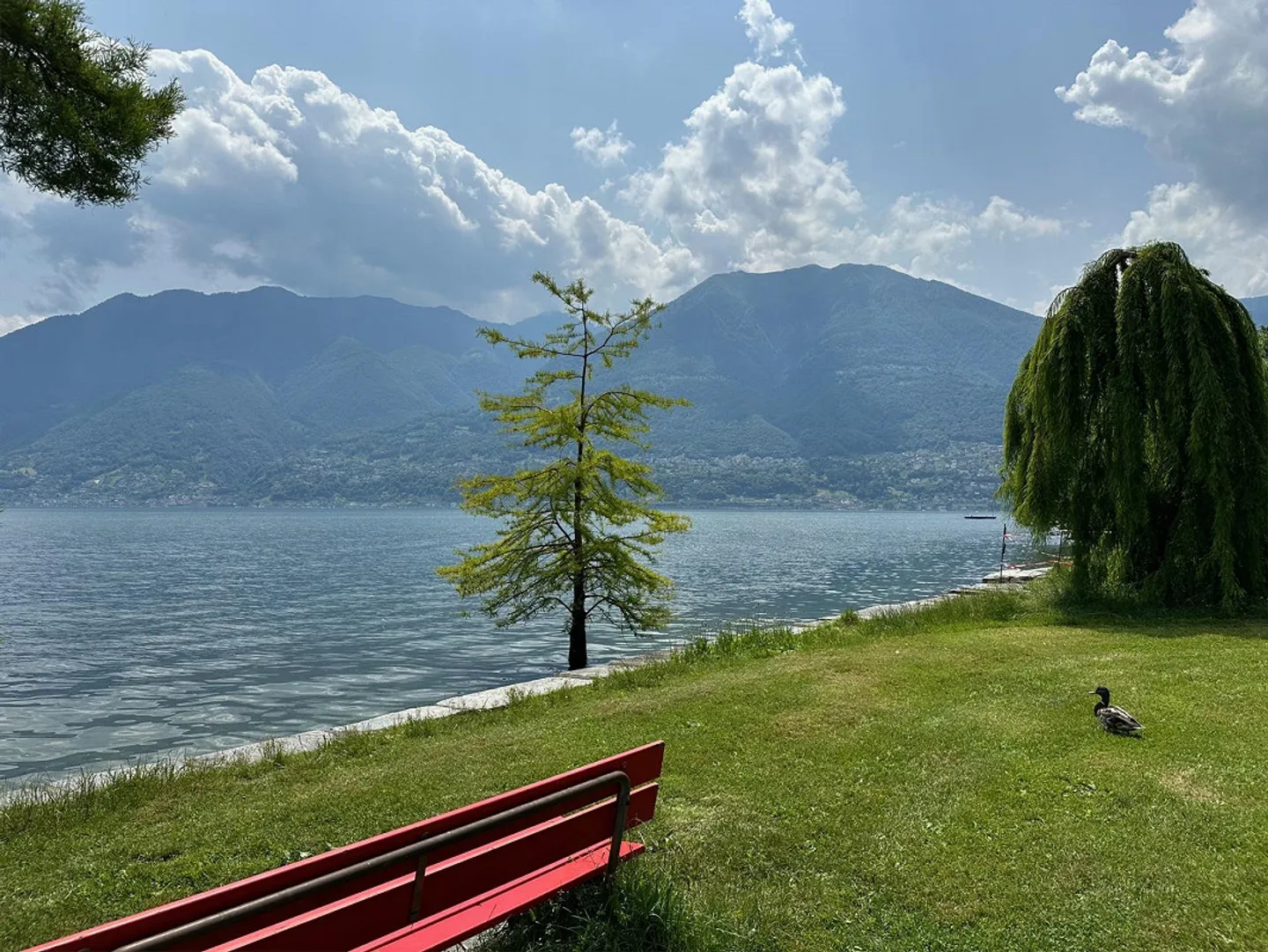 Appartamento Incantevole con Vista Lago - Foto 24 di 25
