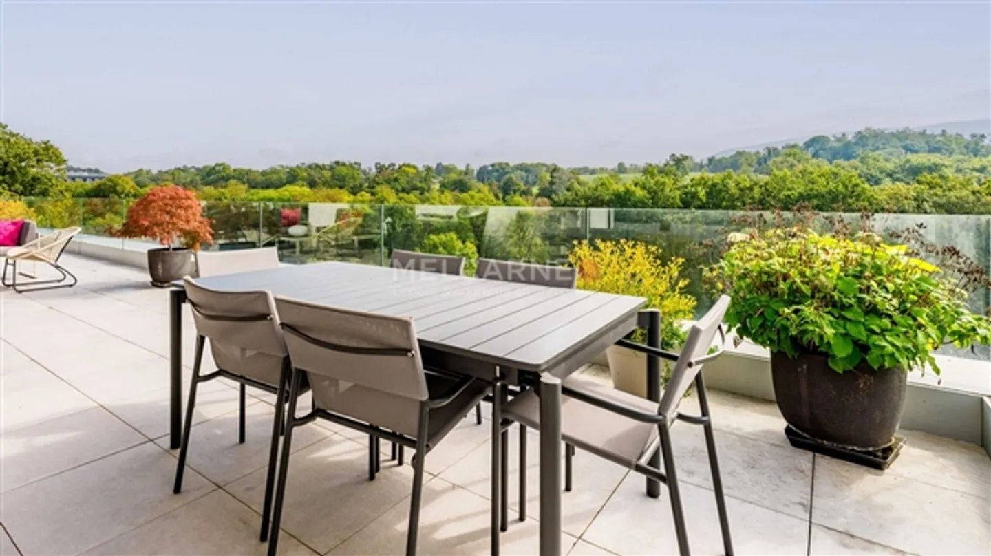 5-Room Terrace with Panoramic View of Nature - Photo 11 of 11