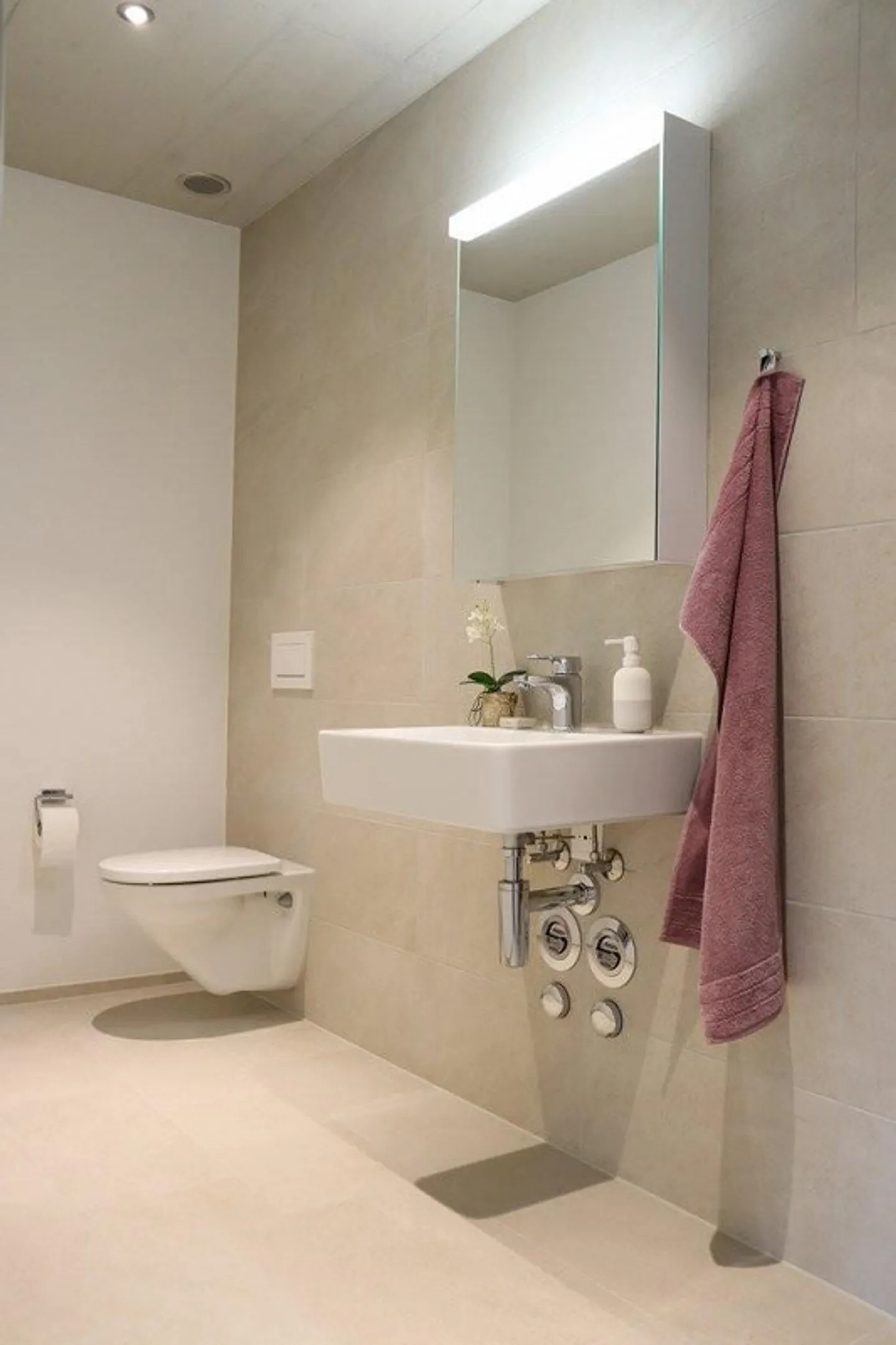 3.5 Room Apartment for Rent in Aarburg - Photo 3 of 8