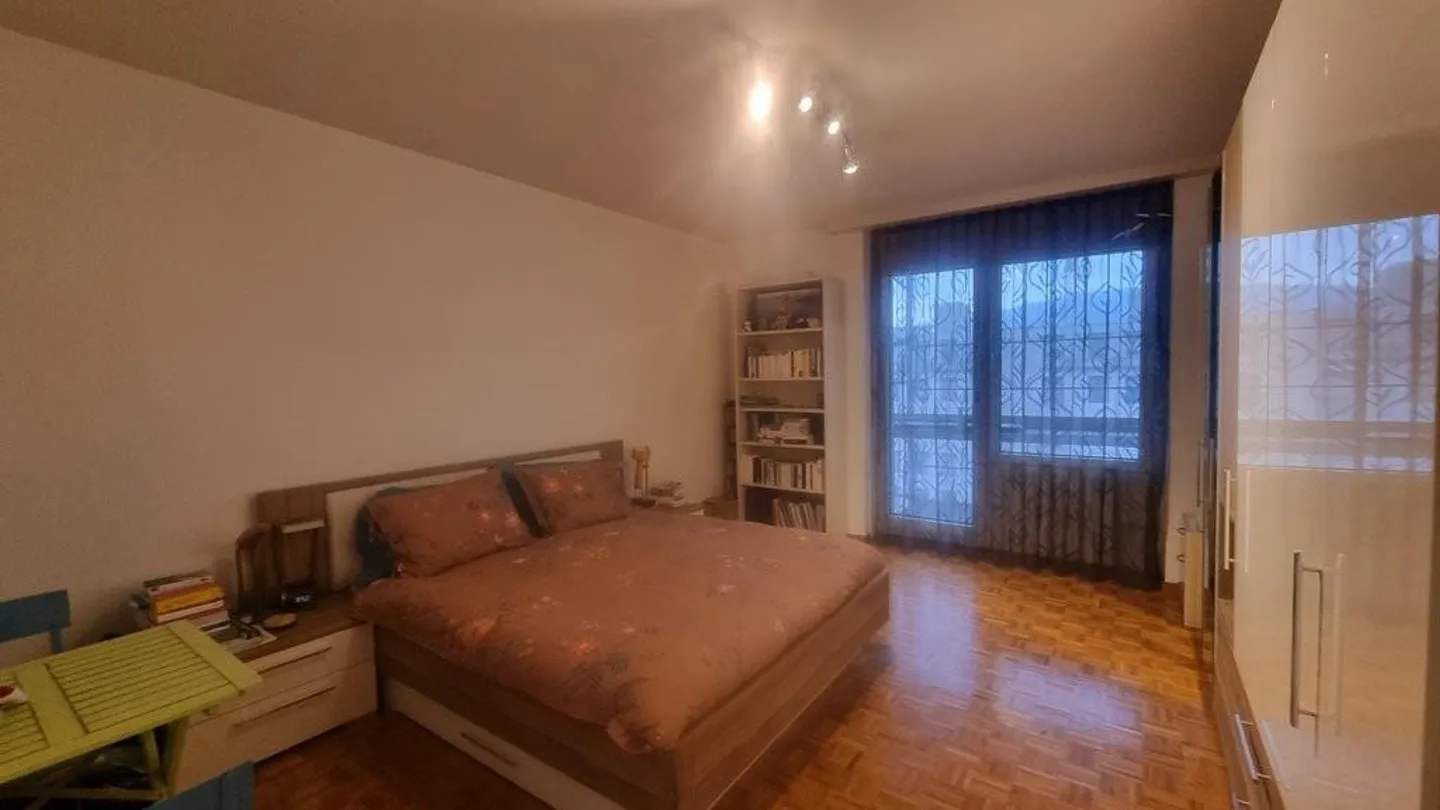 Beautiful apartment with terrace and balcony in the heart of Petit-Lancy - Photo 5 of 6