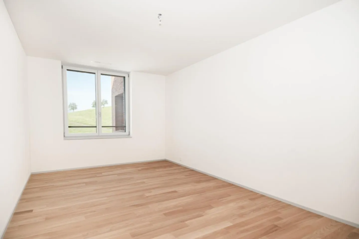 Vie centrale - Photo 2 sur 9