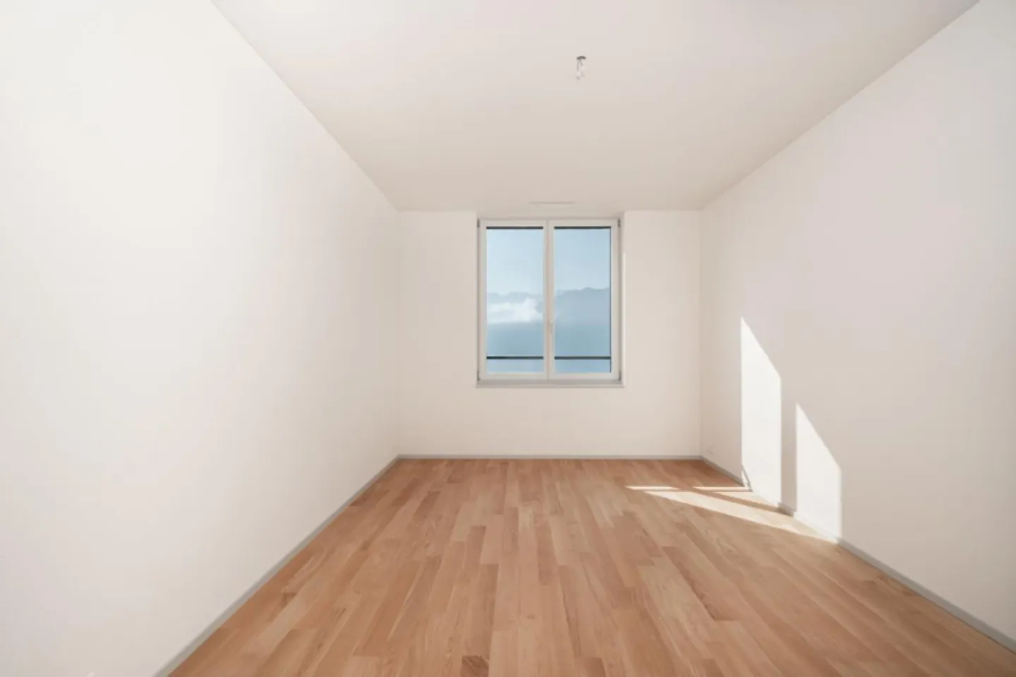 Vie centrale - Photo 3 sur 9