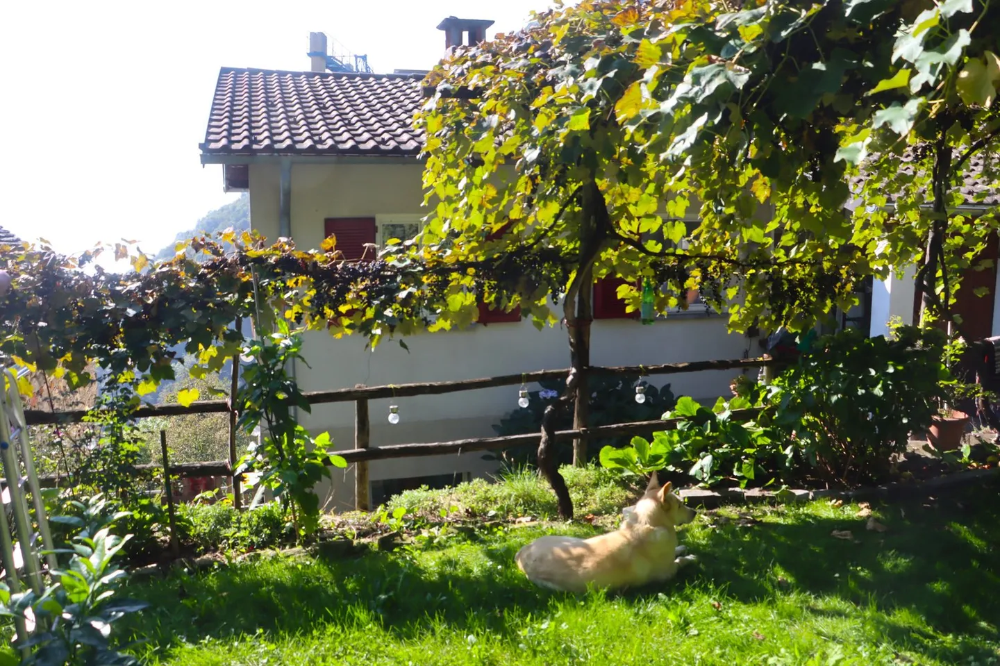 Duplex affascinante con vista lago - Foto 2 di 24