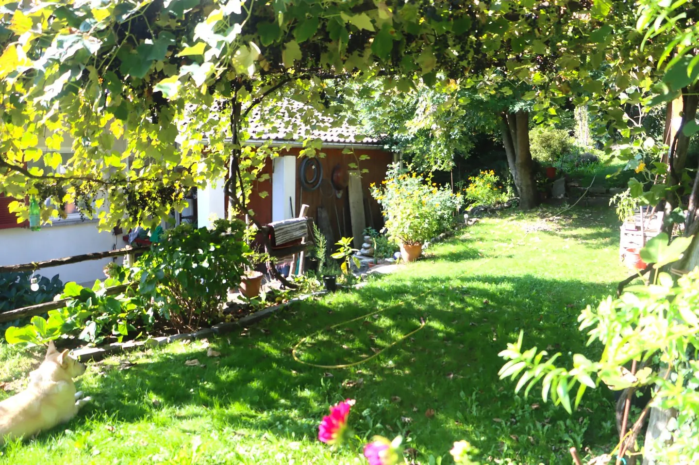 Duplex affascinante con vista lago - Foto 14 di 24