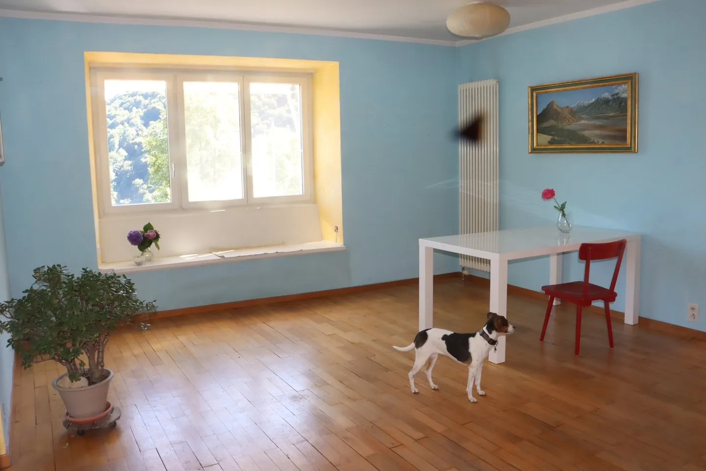 Duplex affascinante con vista lago - Foto 16 di 24