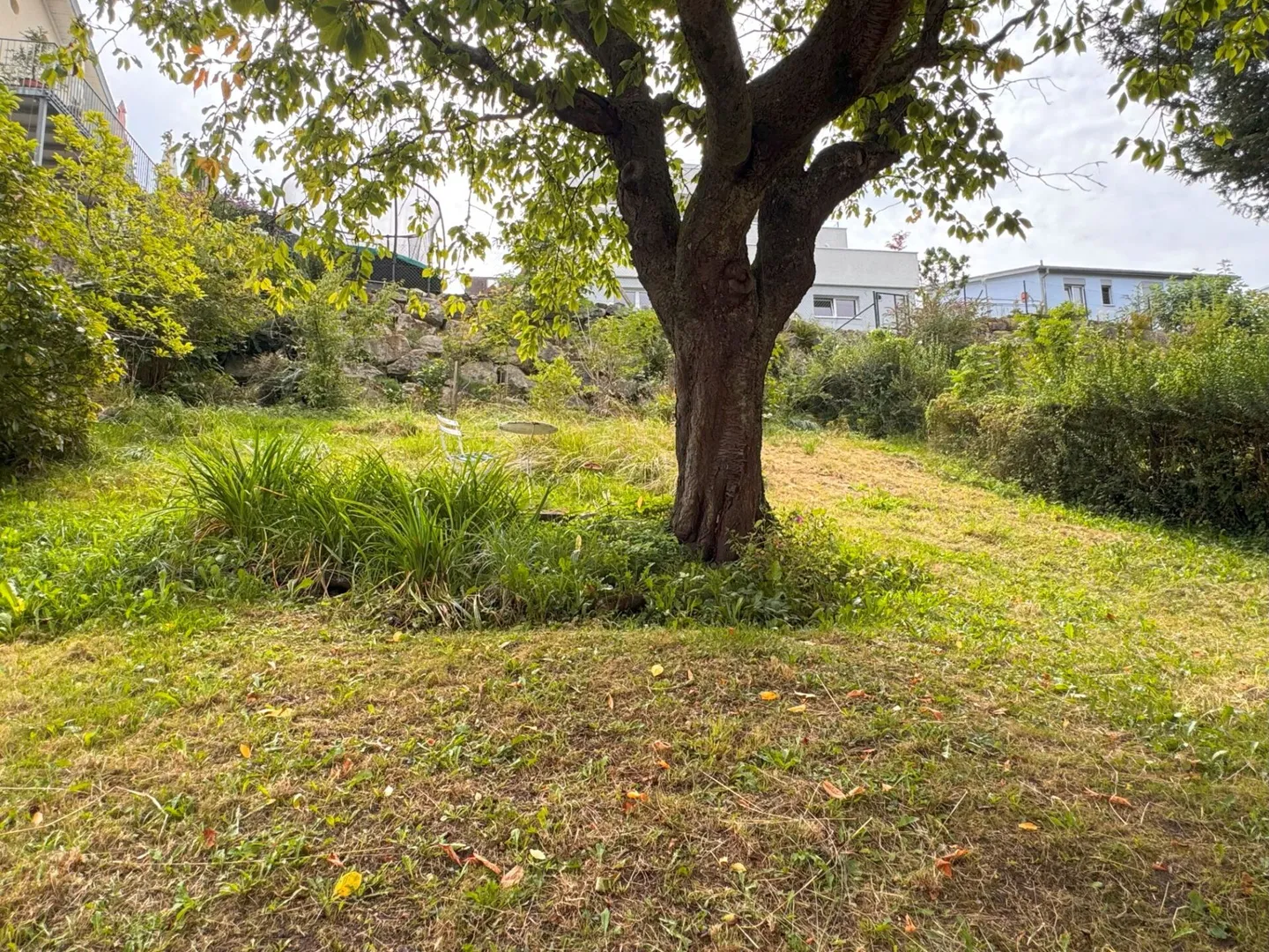 Multi-family house with 3 apartments, lake view - Photo 10 of 10