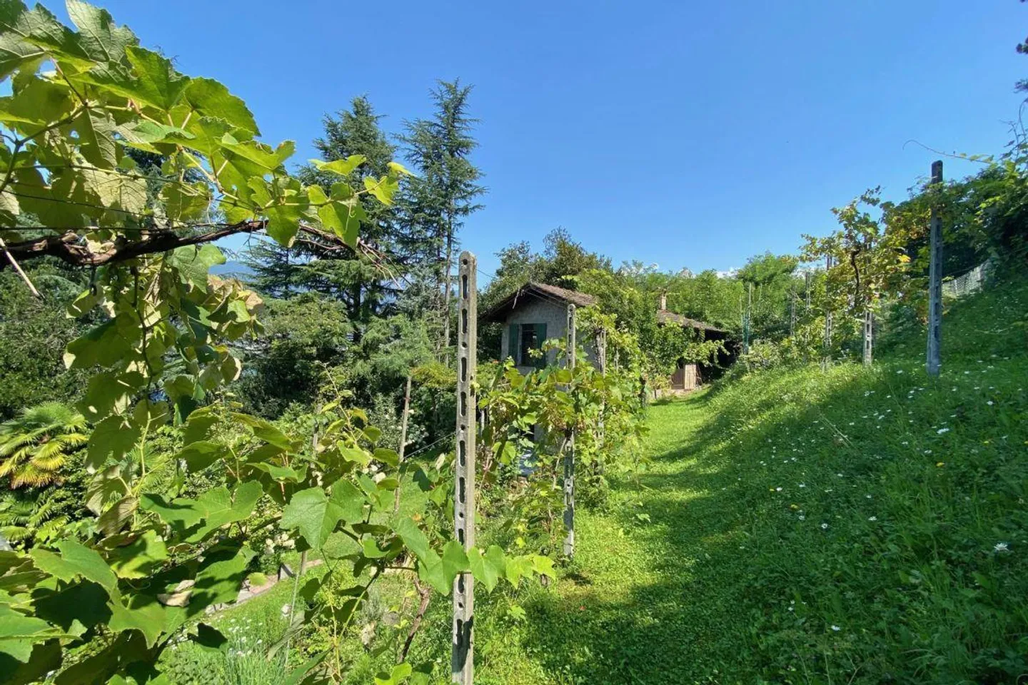 Villa exclusive avec vue panoramique sur le lac à 180° et une intimité absolue - Photo 13 sur 30