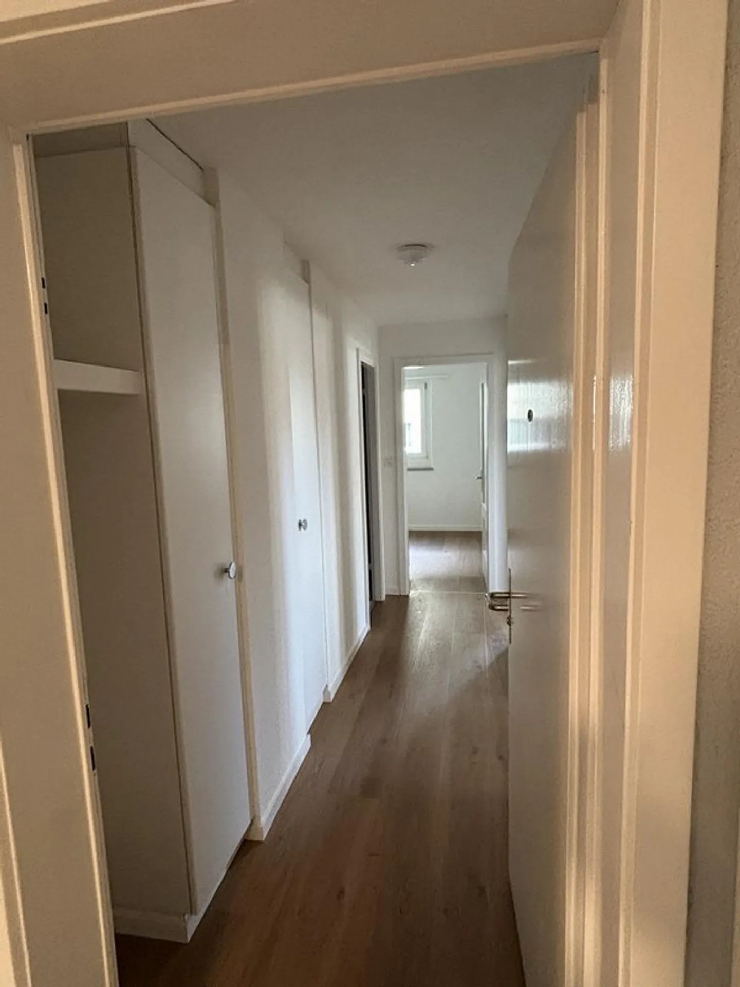 Ottimo appartamento con 2 camere a Wettingen - Foto 7 di 8