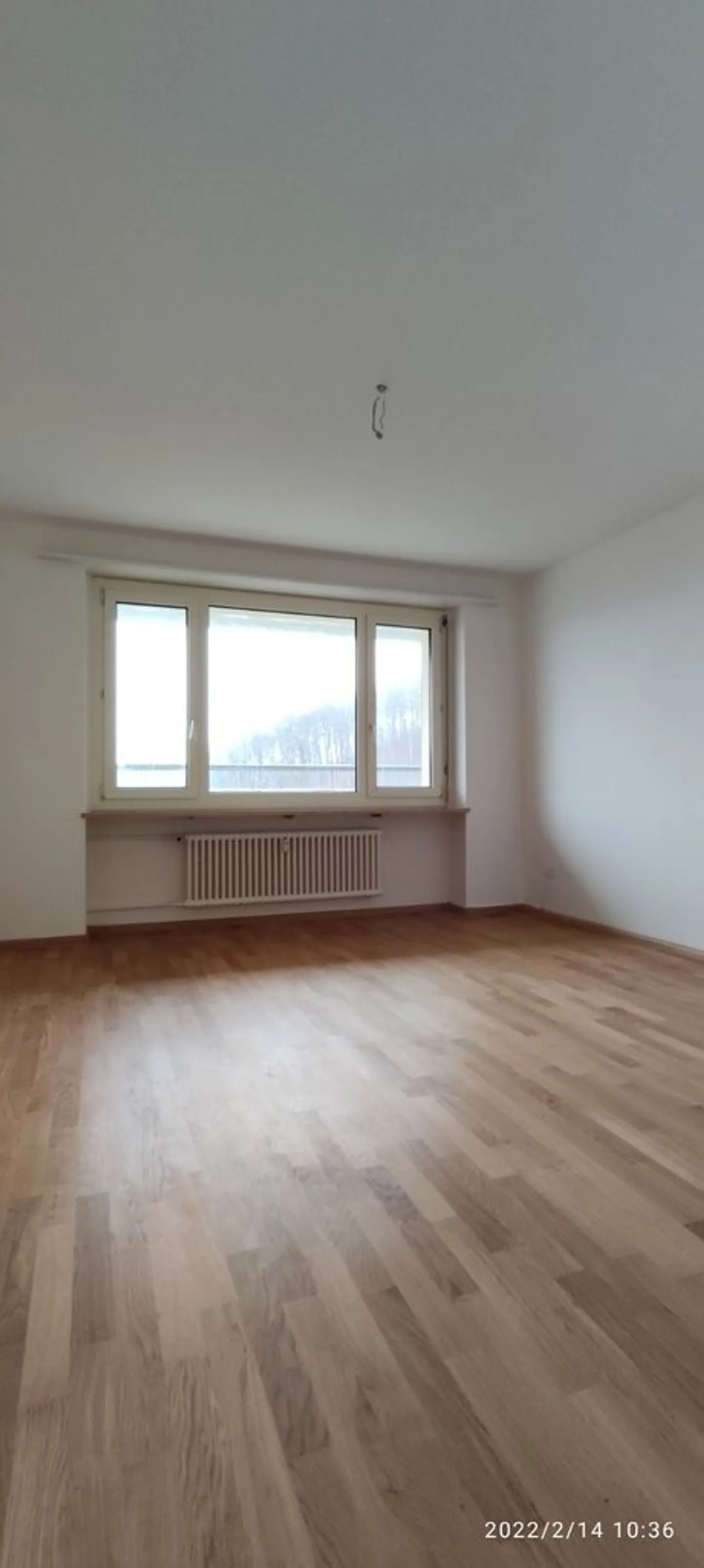 Living with a View - Photo 6 of 8