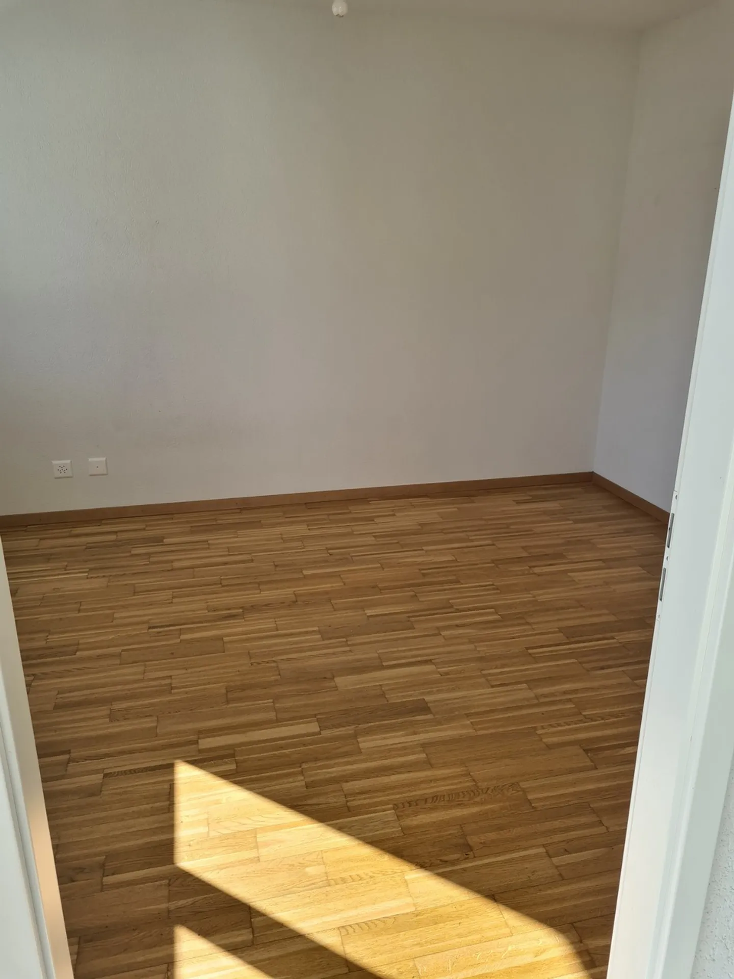 Spacious Apartment with Terrace - Photo 8 of 13