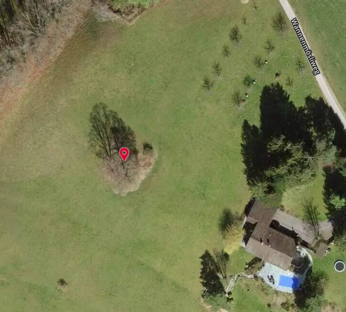 Terreno all'asta a Stäfa - Foto 3 di 13