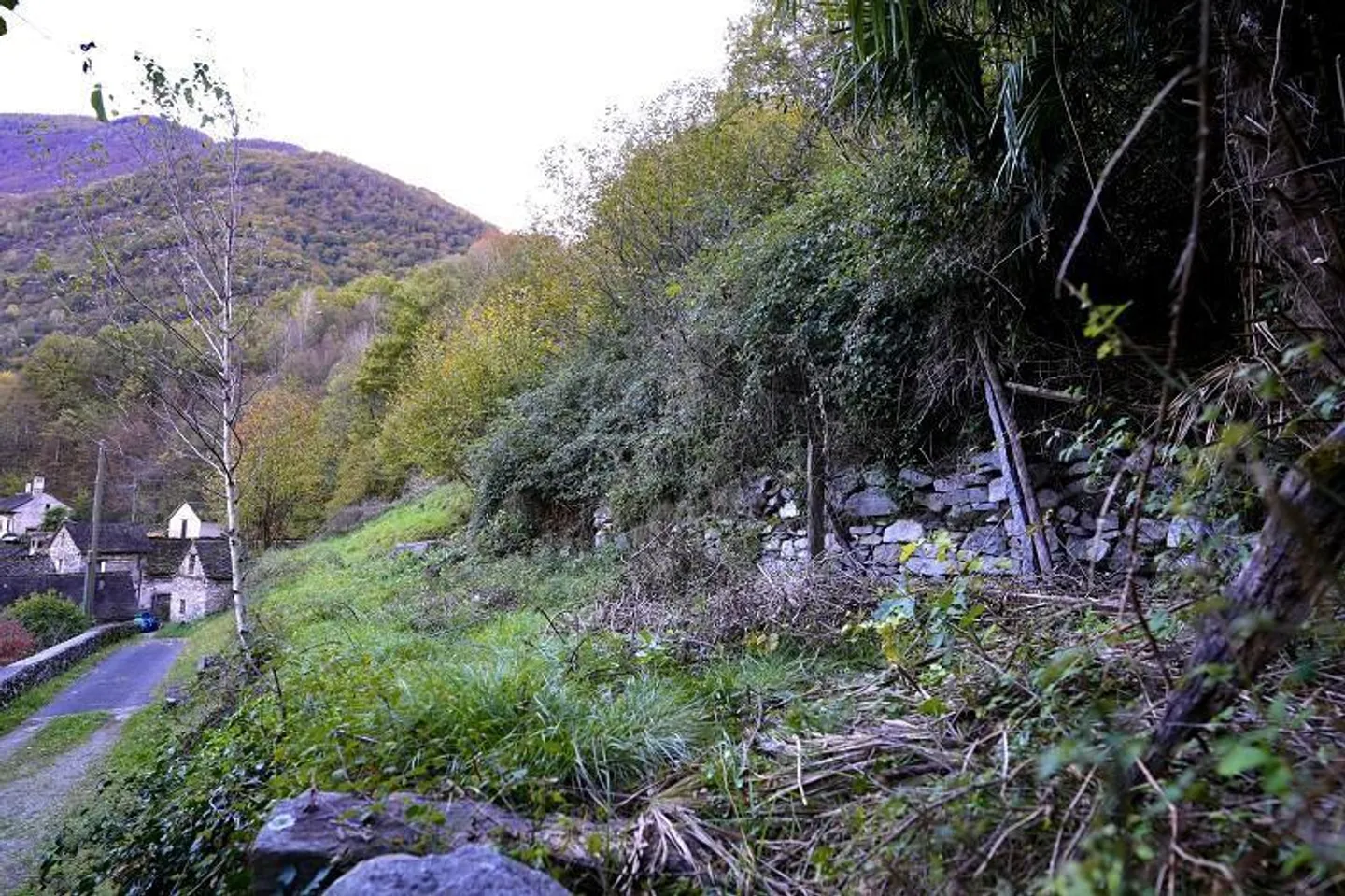 Rustique de 3 pièces à rénover avec grand terrain de prairie et de forêt - Photo 8 sur 14