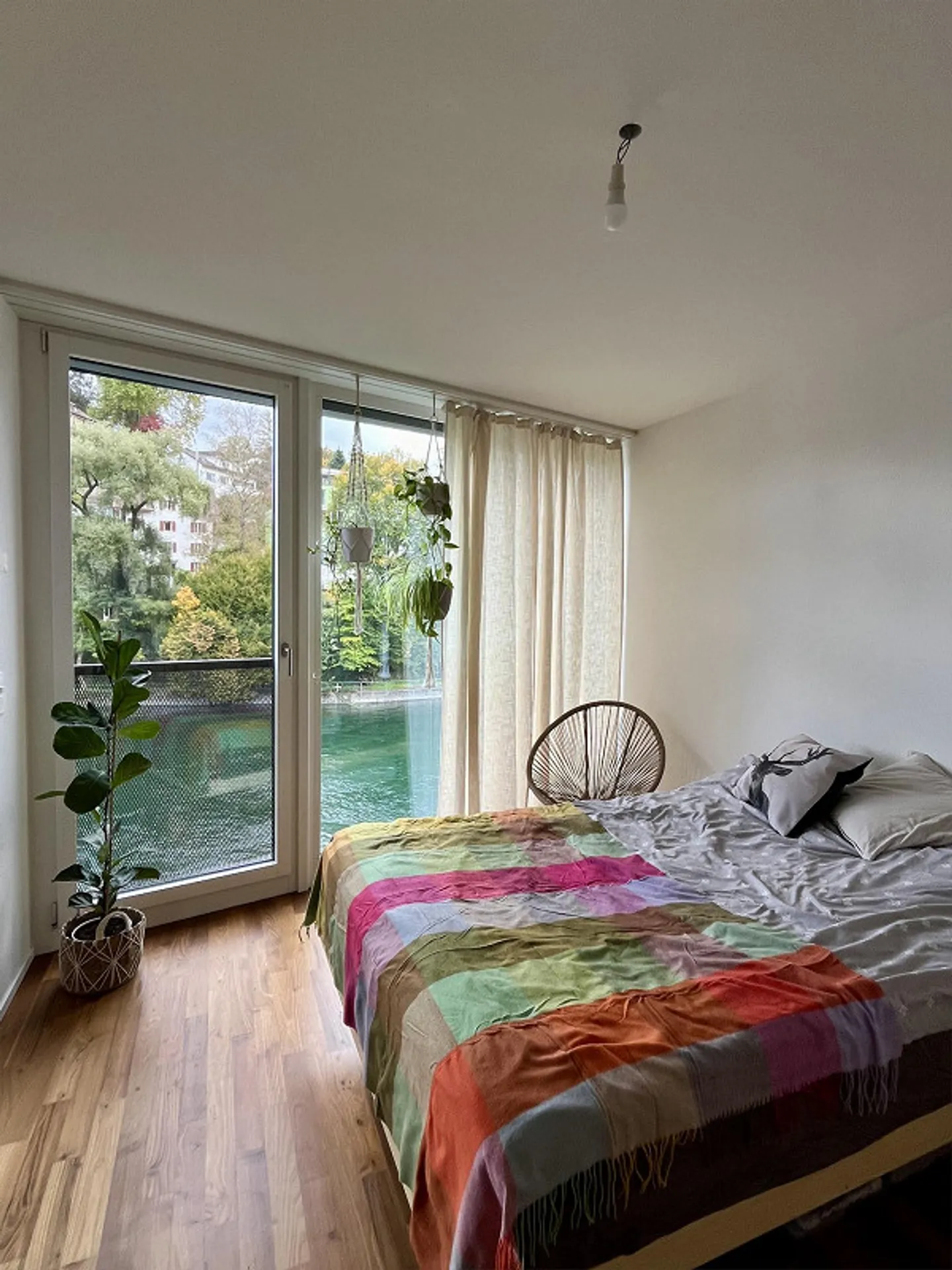 Cercasi nuovo inquilino - Foto 5 di 7