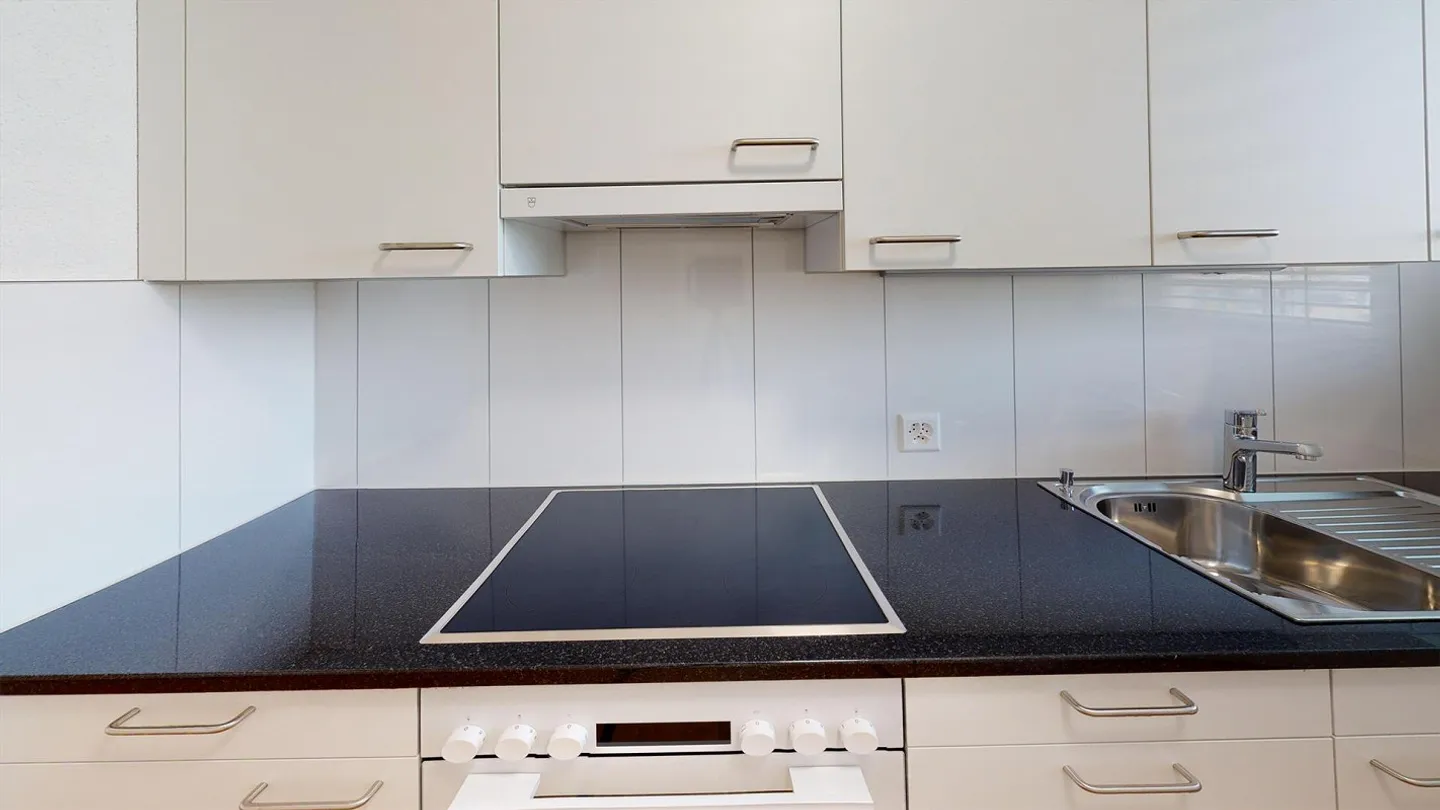 3.5 Room Apartment in Zurich with View - Photo 3 of 9