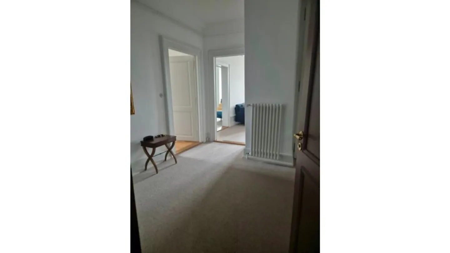 APPARTAMENTO 3½ STANZE A VEVEY (VD), ARREDATO - Foto 3 di 9