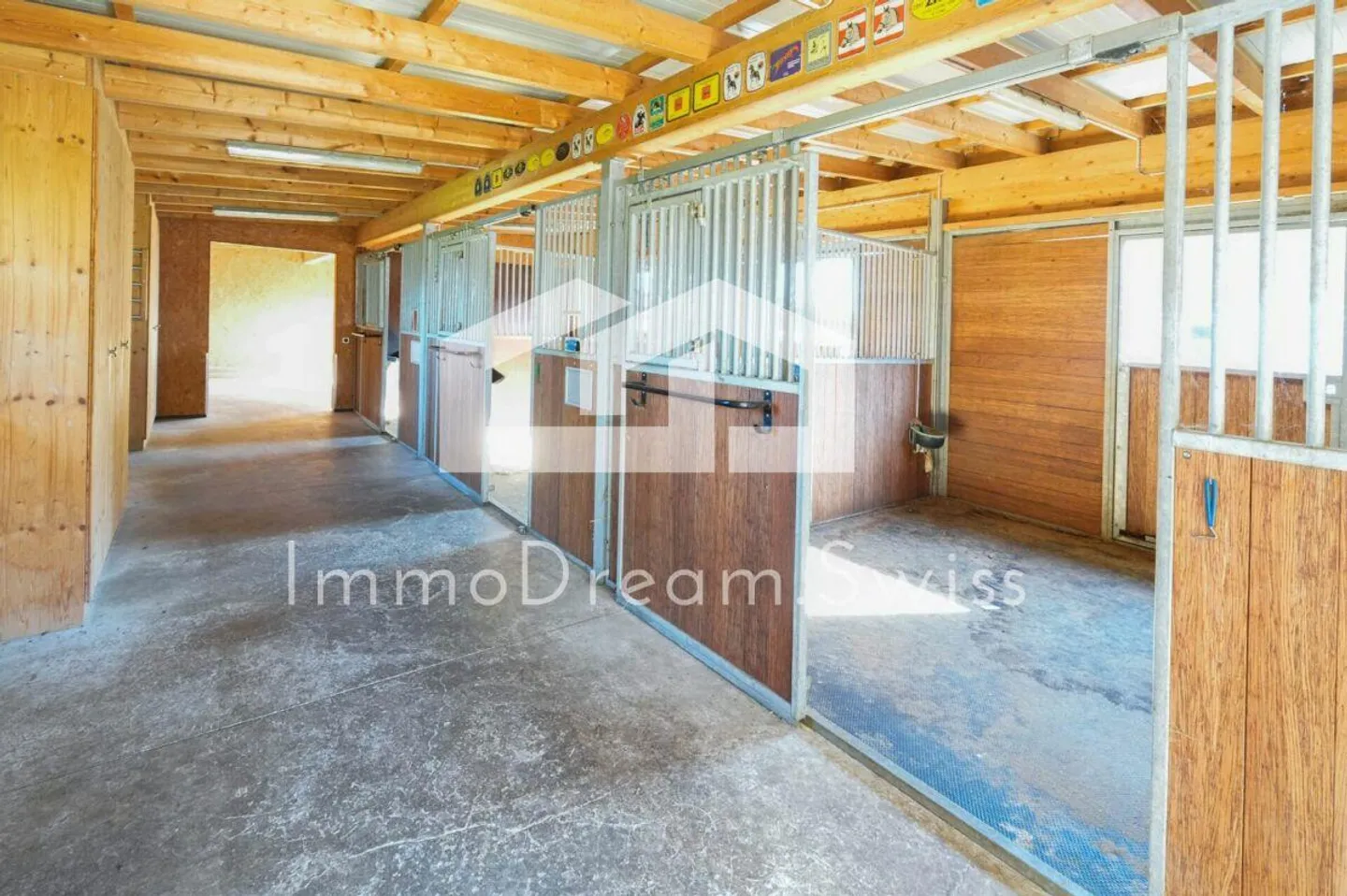 Villa di campagna spaziosa 11,5 stanze, con stalla per cavalli e 5 garage - Foto 16 di 18