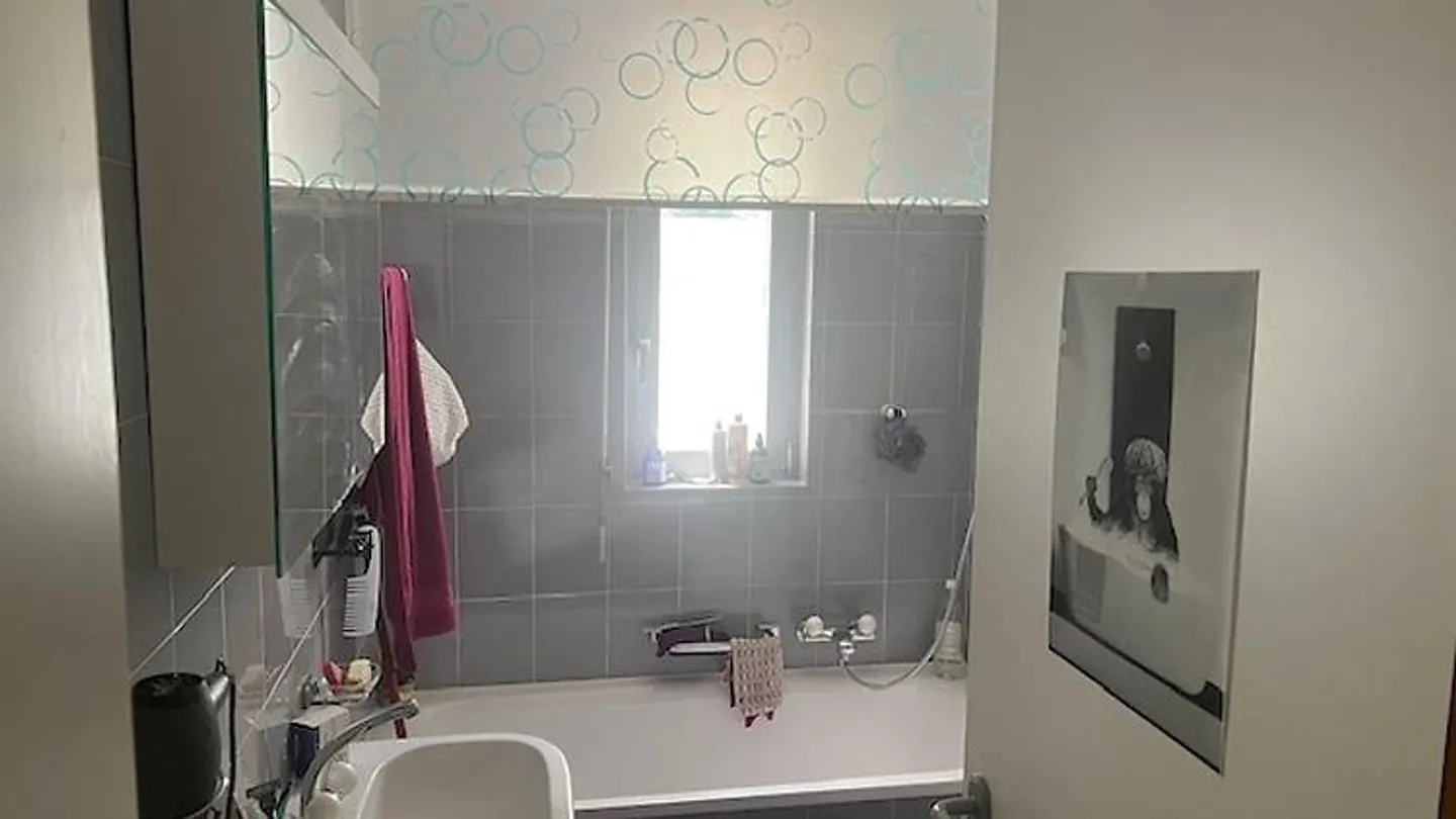 APPARTAMENTO 4½ LOCALI A CAPOLAGO (TI), ARREDATO, TEMPORANEO - Foto 7 di 10