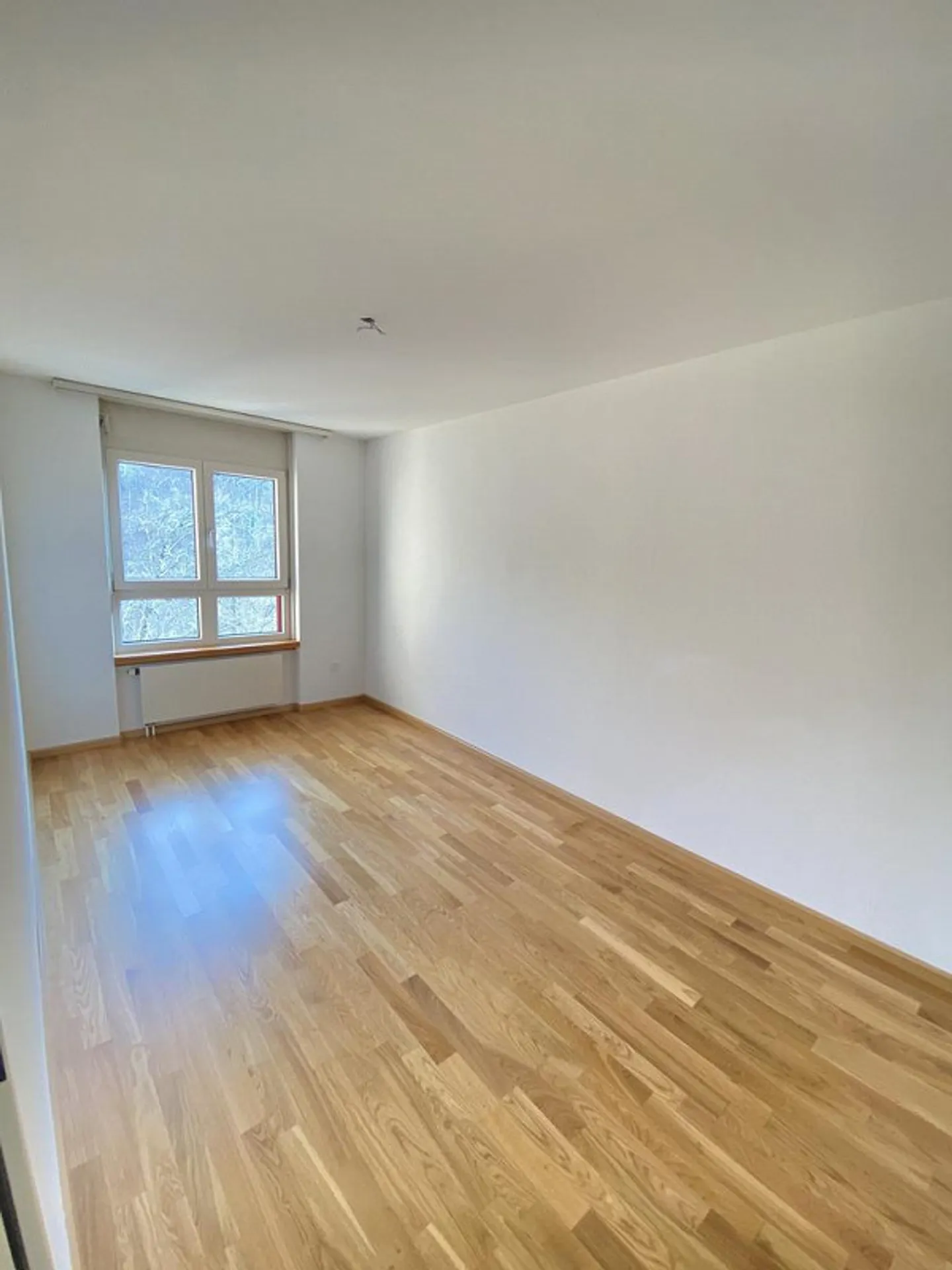 Appartement 3.5 pièces à Liestal - Photo 4 sur 10