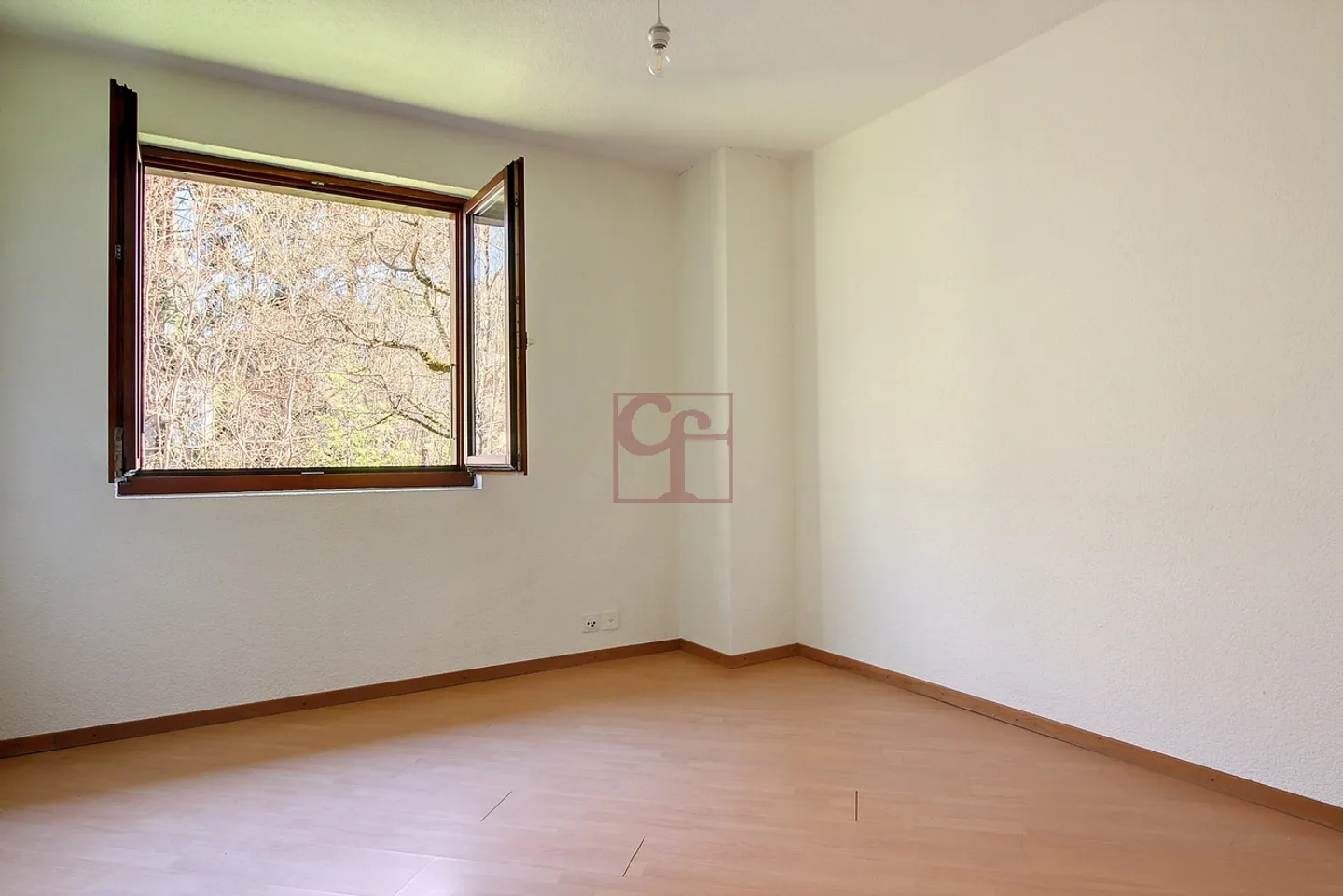 Château-d'Oex - Appartamento in una piccola PPE vicino al villaggio - Foto 4 di 11