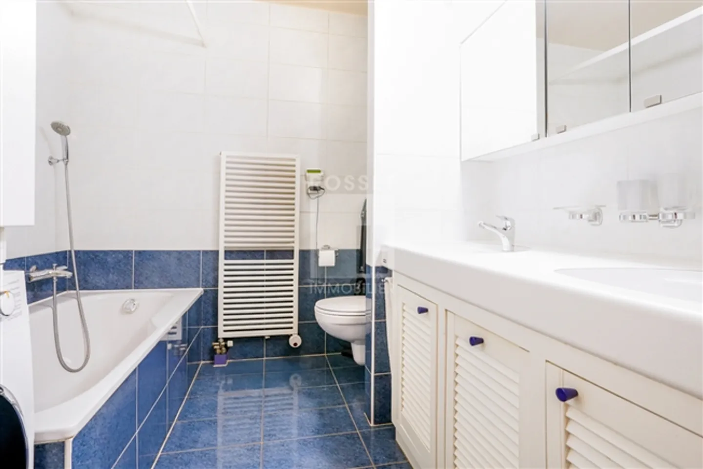 Exclusive Beautiful 5.5-Room Penthouse in the Heart of Pinchat - Photo 7 of 12