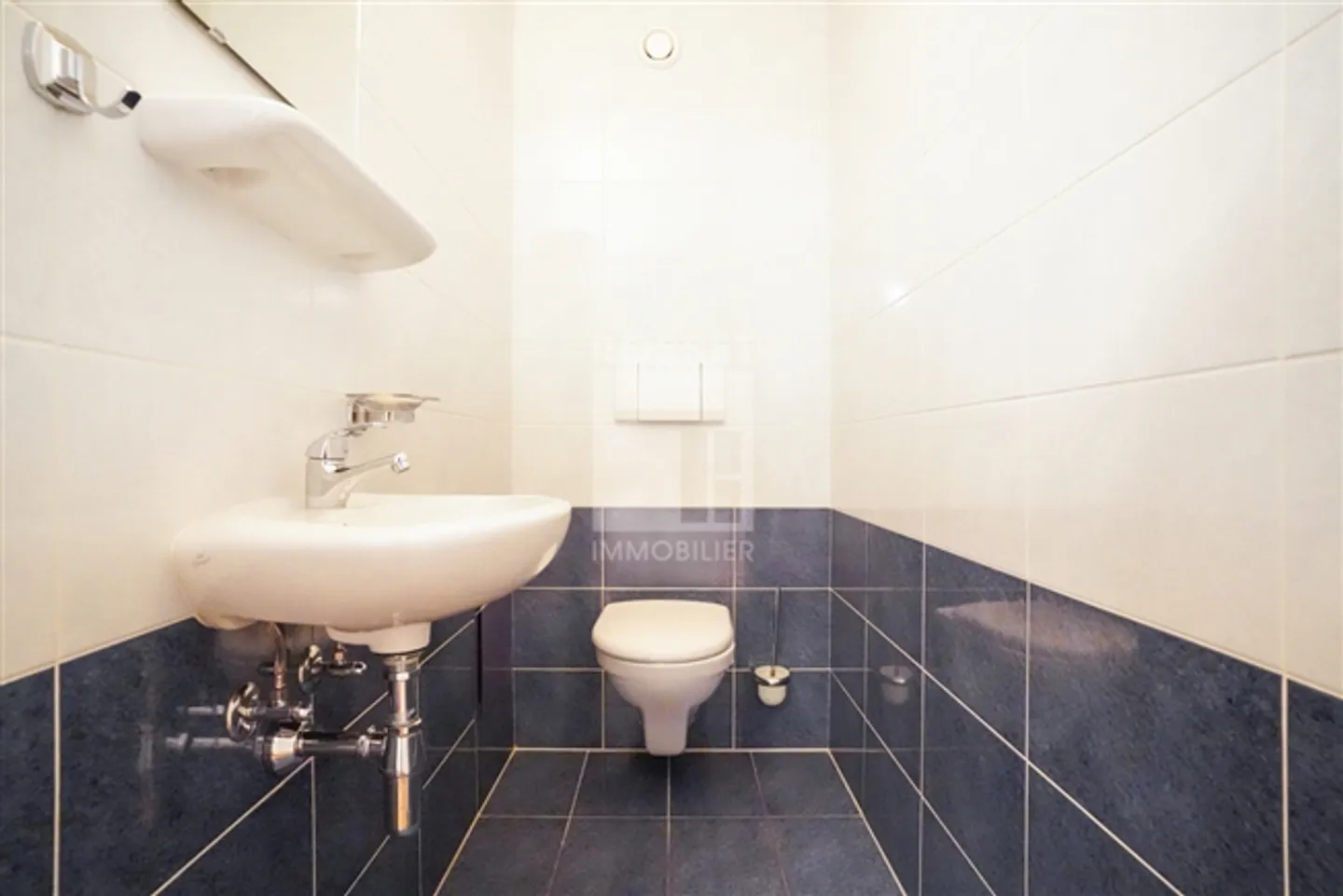 Exclusive Beautiful 5.5-Room Penthouse in the Heart of Pinchat - Photo 9 of 12