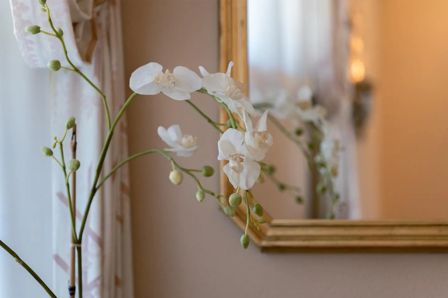 Unique in Exclusive Location in Elfenau - Photo 2 of 19