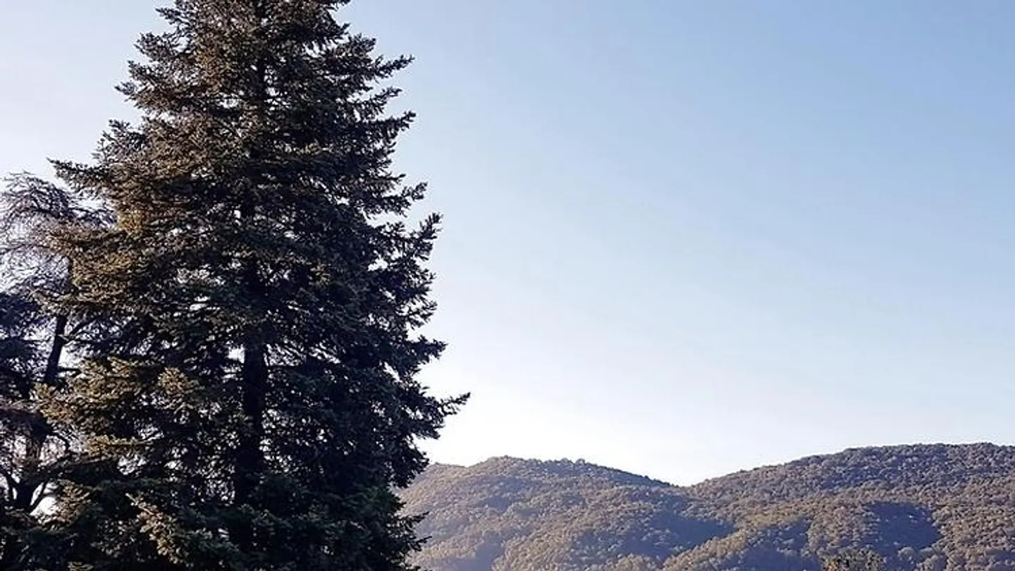 1½ ROOM APARTMENT IN VACALLO (TI), FURNISHED - Photo 10 of 10