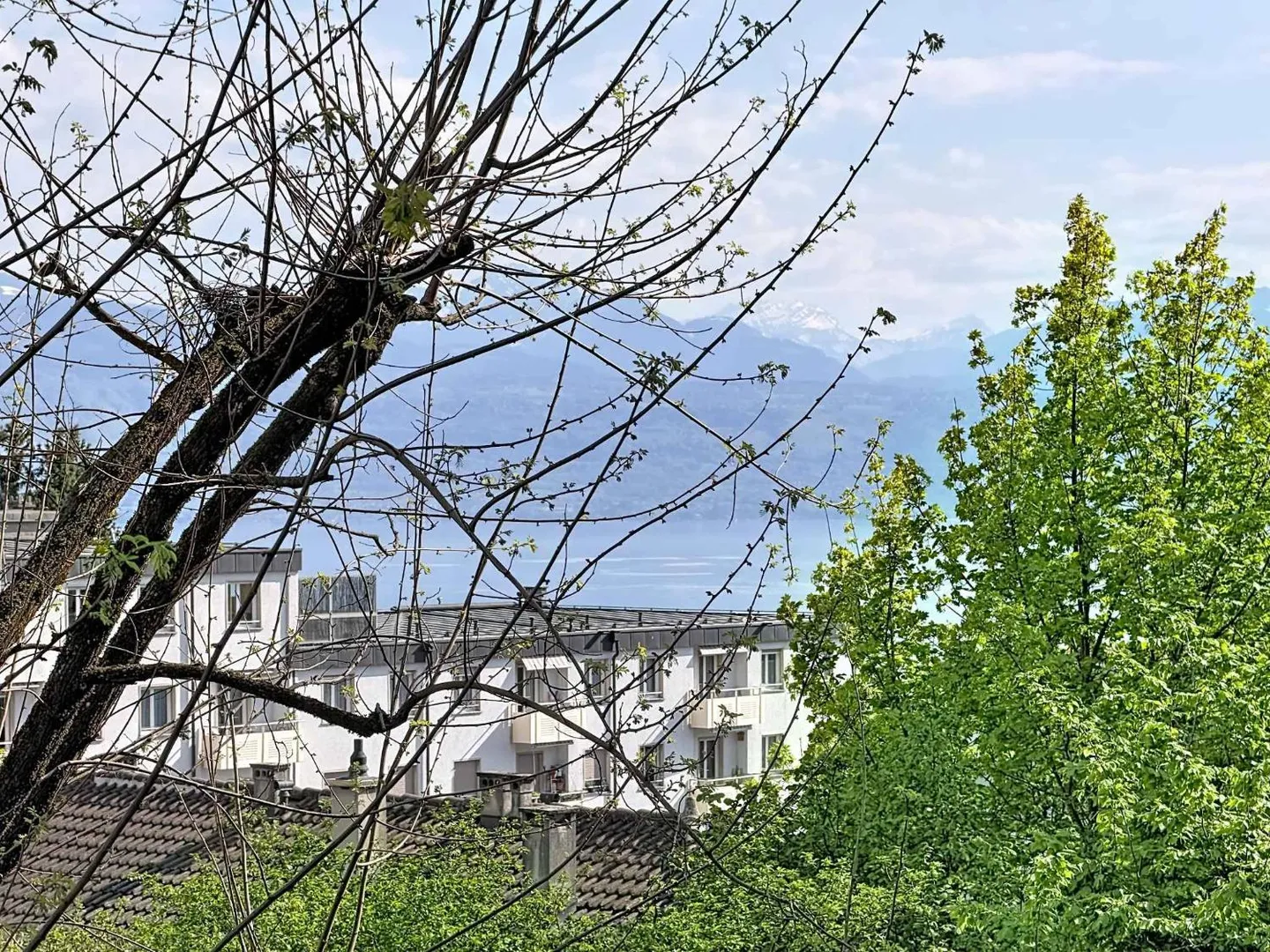 Beautiful apartment in a quiet neighborhood of Lausanne - Photo 1 of 12