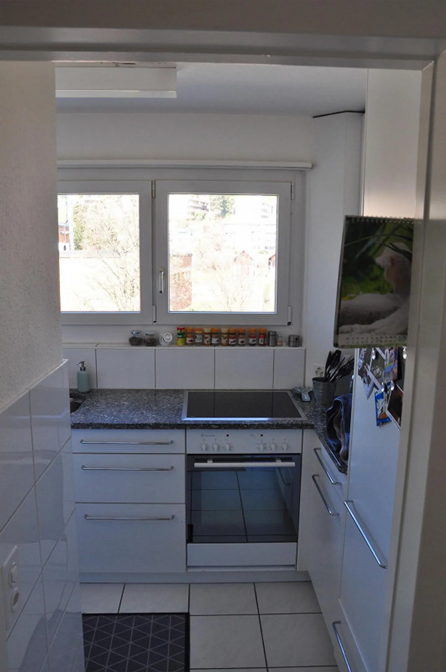 Appartement 2.5 pièces confortable et bien ensoleillé avec grand balcon - Photo 3 sur 9