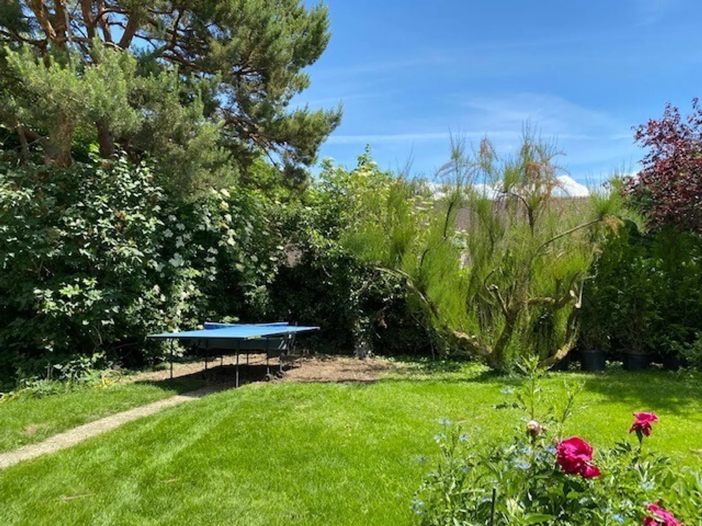 Villa d'architecte à Nyon - Photo 2 sur 17