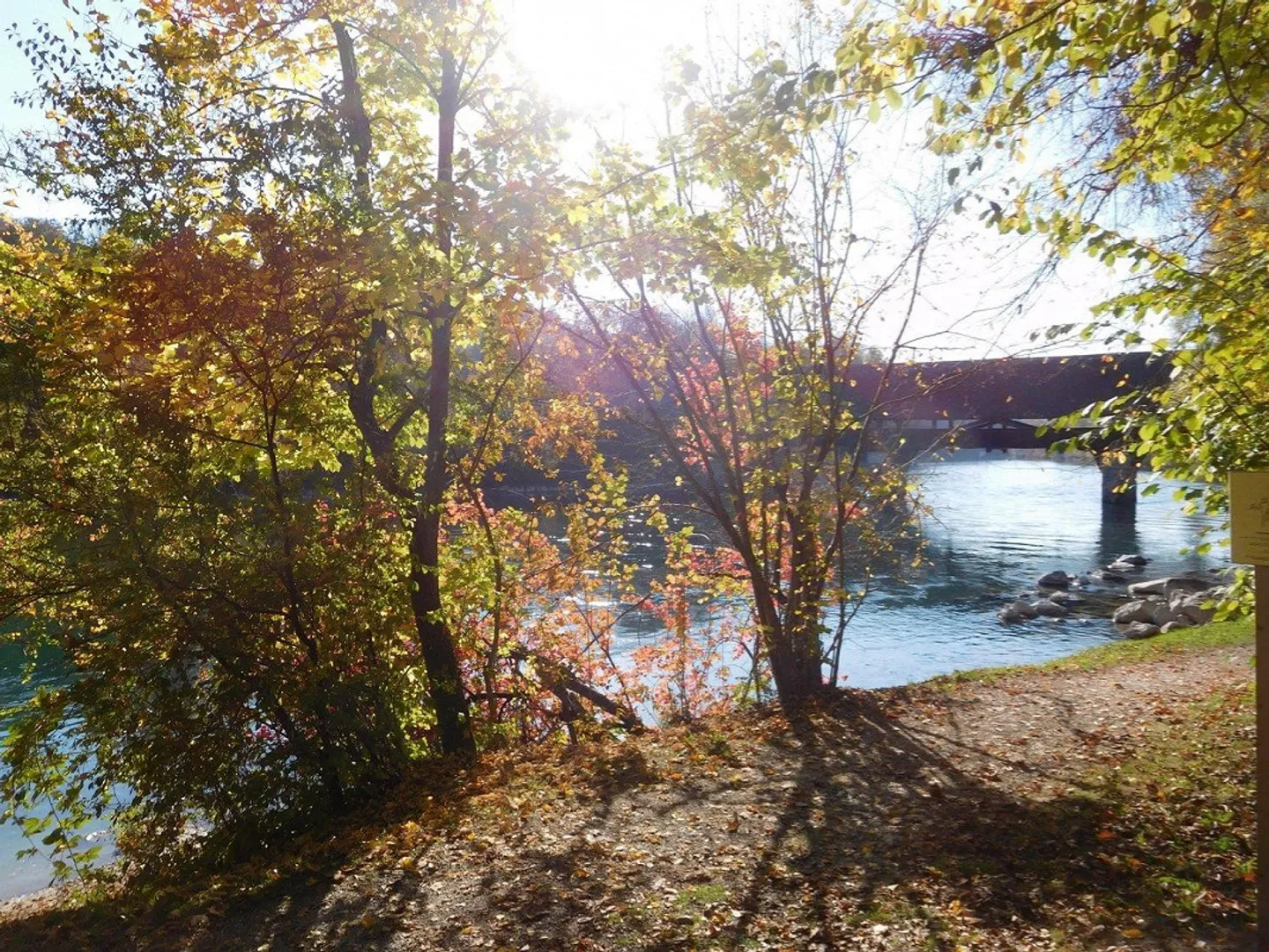 Dans le beau quartier de Ländli, près de l'Aare ! - Photo 8 sur 11