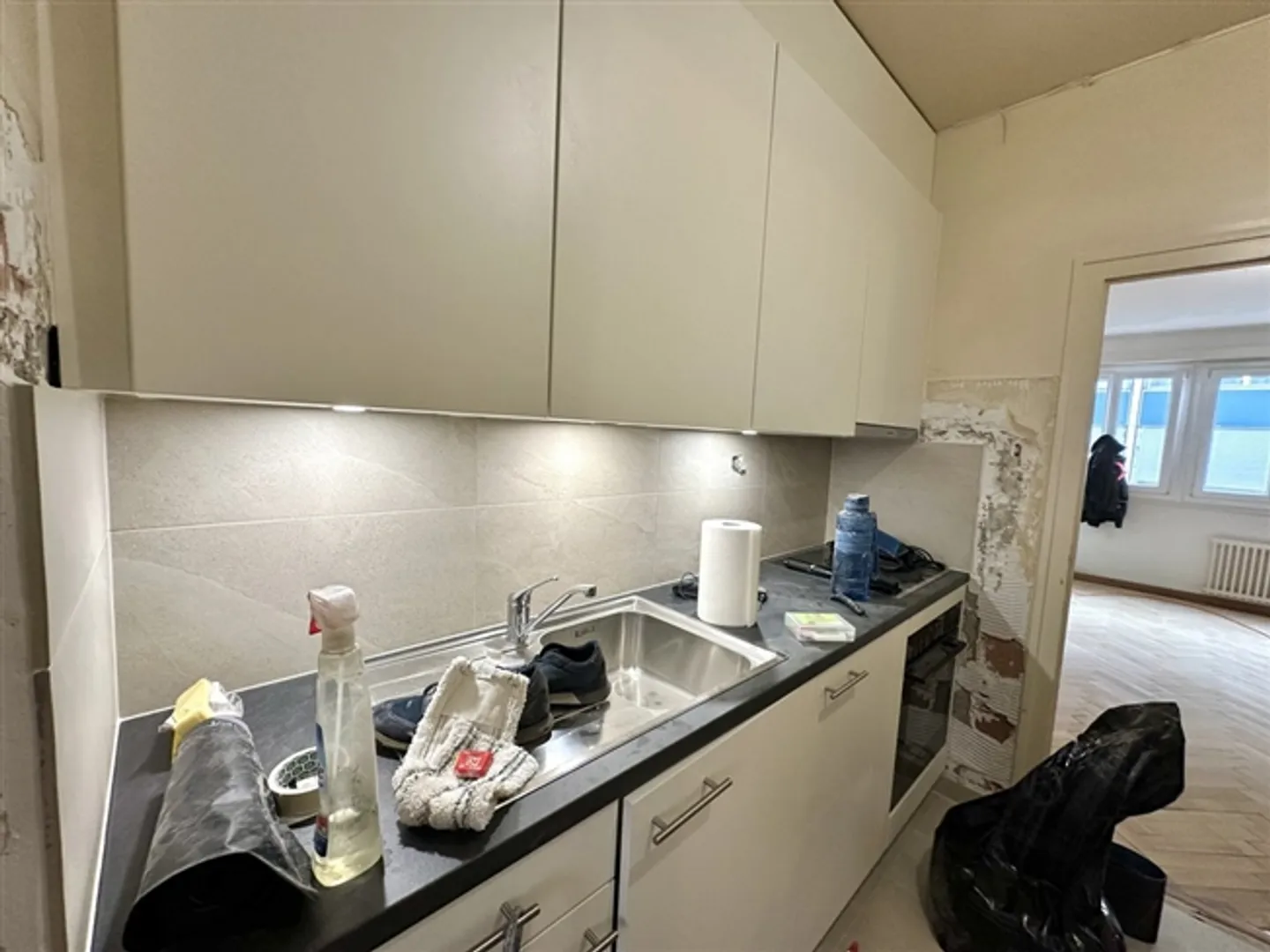 Renovated Studio Apartment for Rent - Plainpalais - Photo 2 of 4