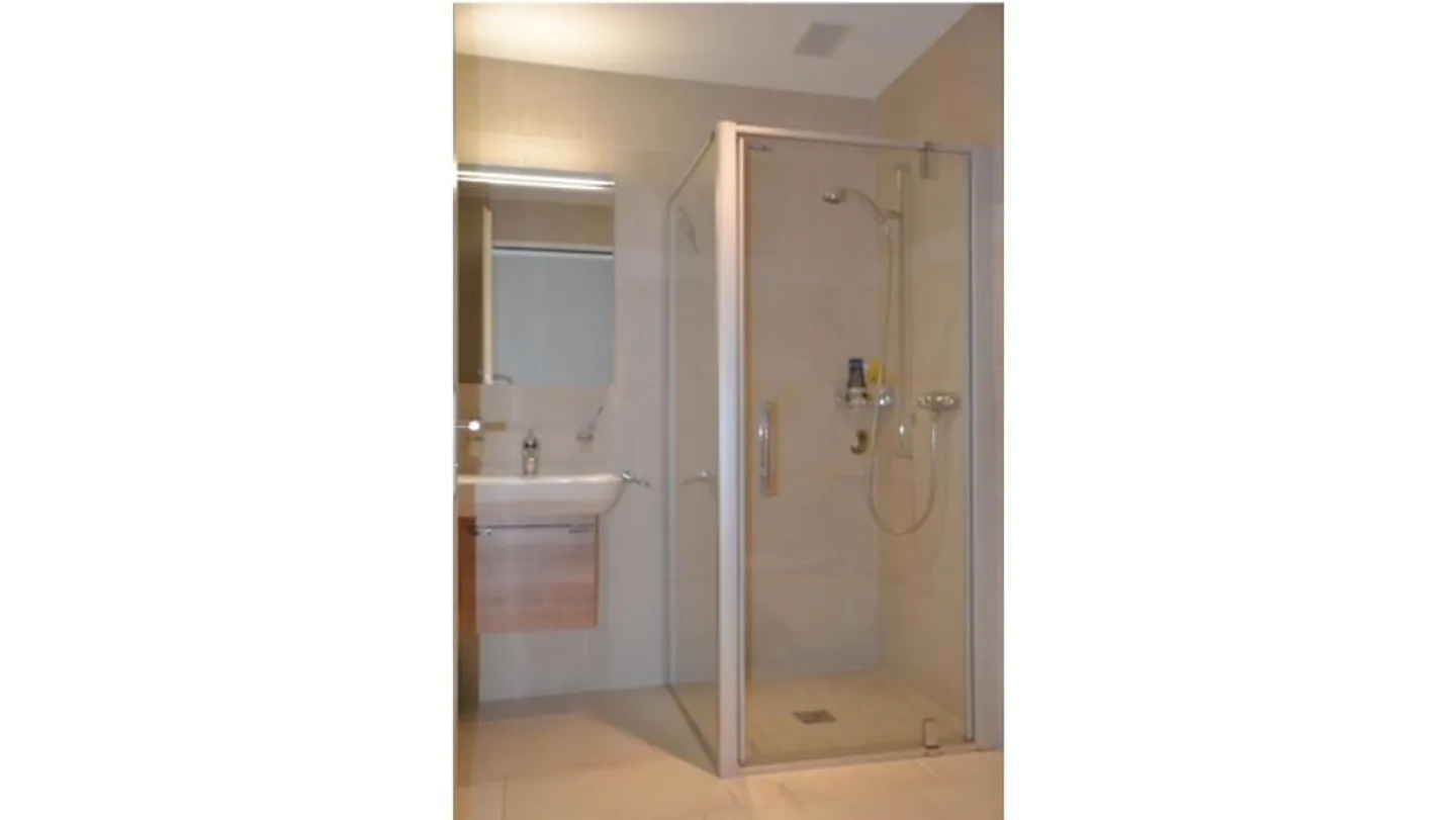 APPARTEMENT 4½ PIÈCES À HORGEN (ZH), MEUBLÉ, TEMPORAIRE - Photo 7 sur 12