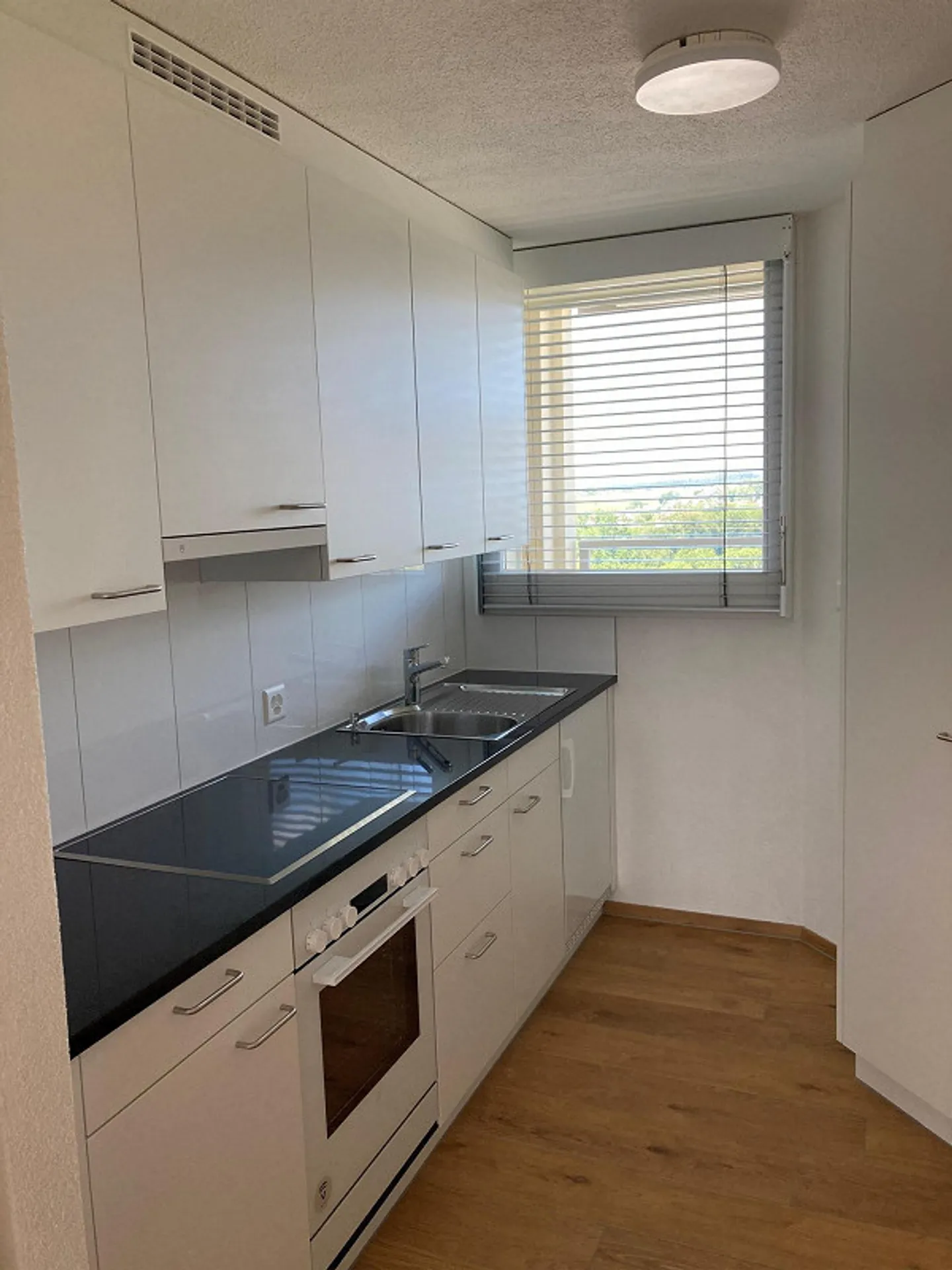 3.5 Room Apartment in Zurich with View - Photo 2 of 9