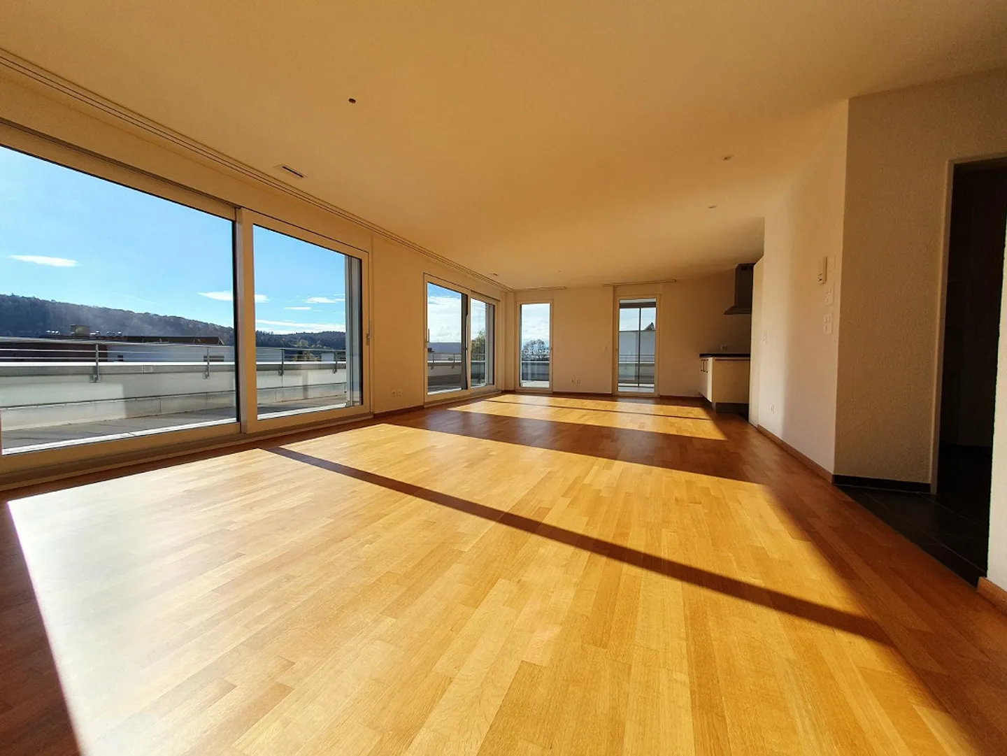 grande appartamento attico con finiture moderne di alta qualità - Foto 1 di 11