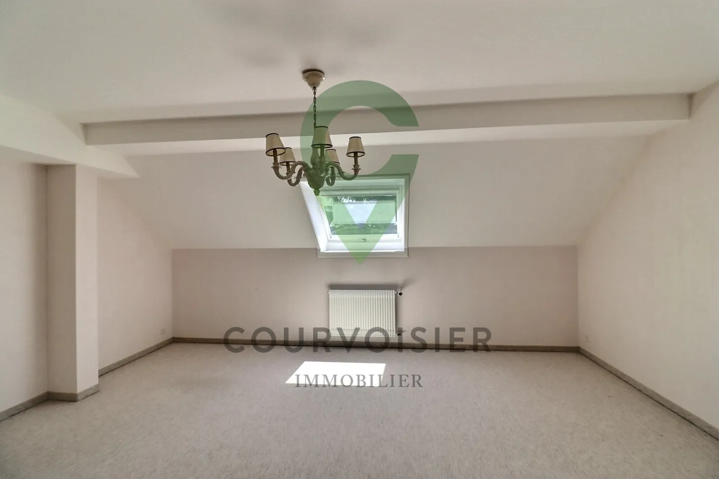 PENTHOUSE APARTMENT WITH UNOBSTRUCTED VIEW OF THE LAKE AND ALPS - Photo 7 of 13