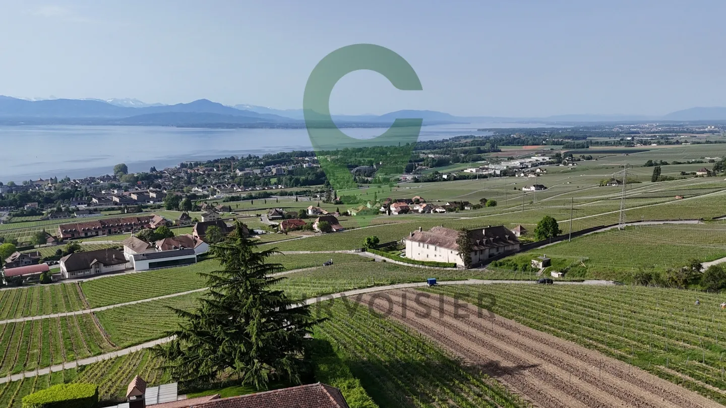 PENTHOUSE APARTMENT WITH UNOBSTRUCTED VIEW OF THE LAKE AND ALPS - Photo 12 of 13