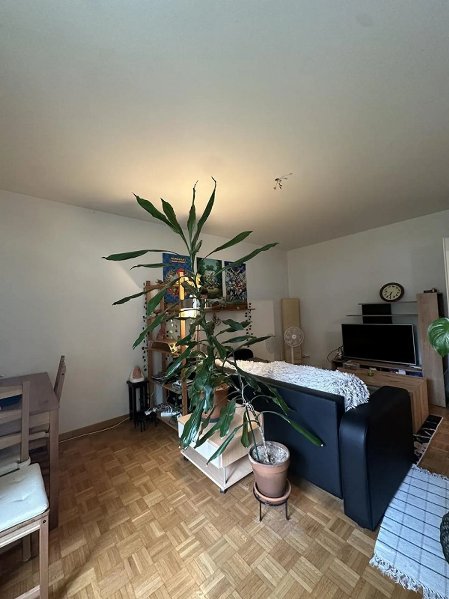 Gemütliche Wohnung mit Balkon - Foto 12 von 16